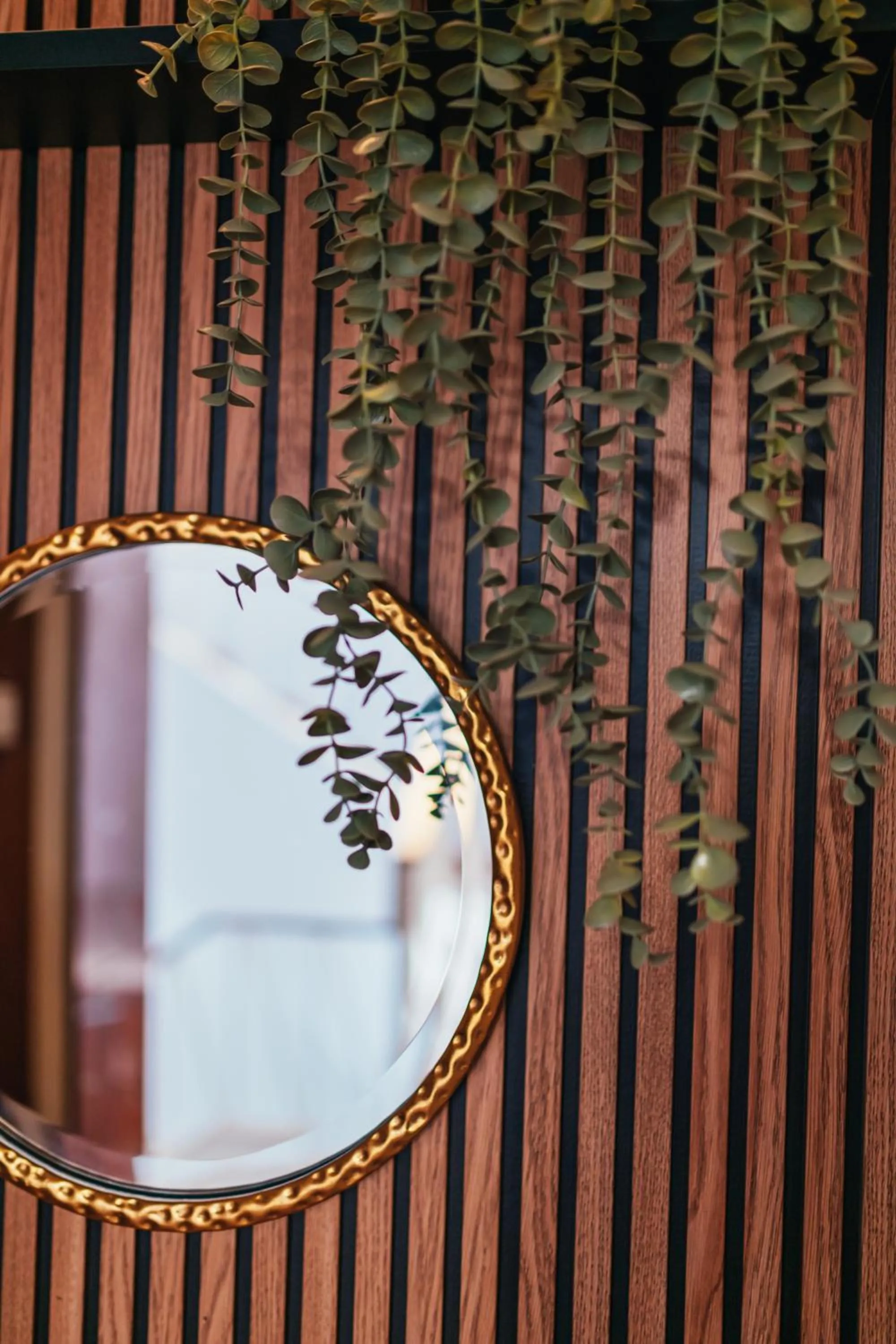 Area and facilities in Hostal Cortés