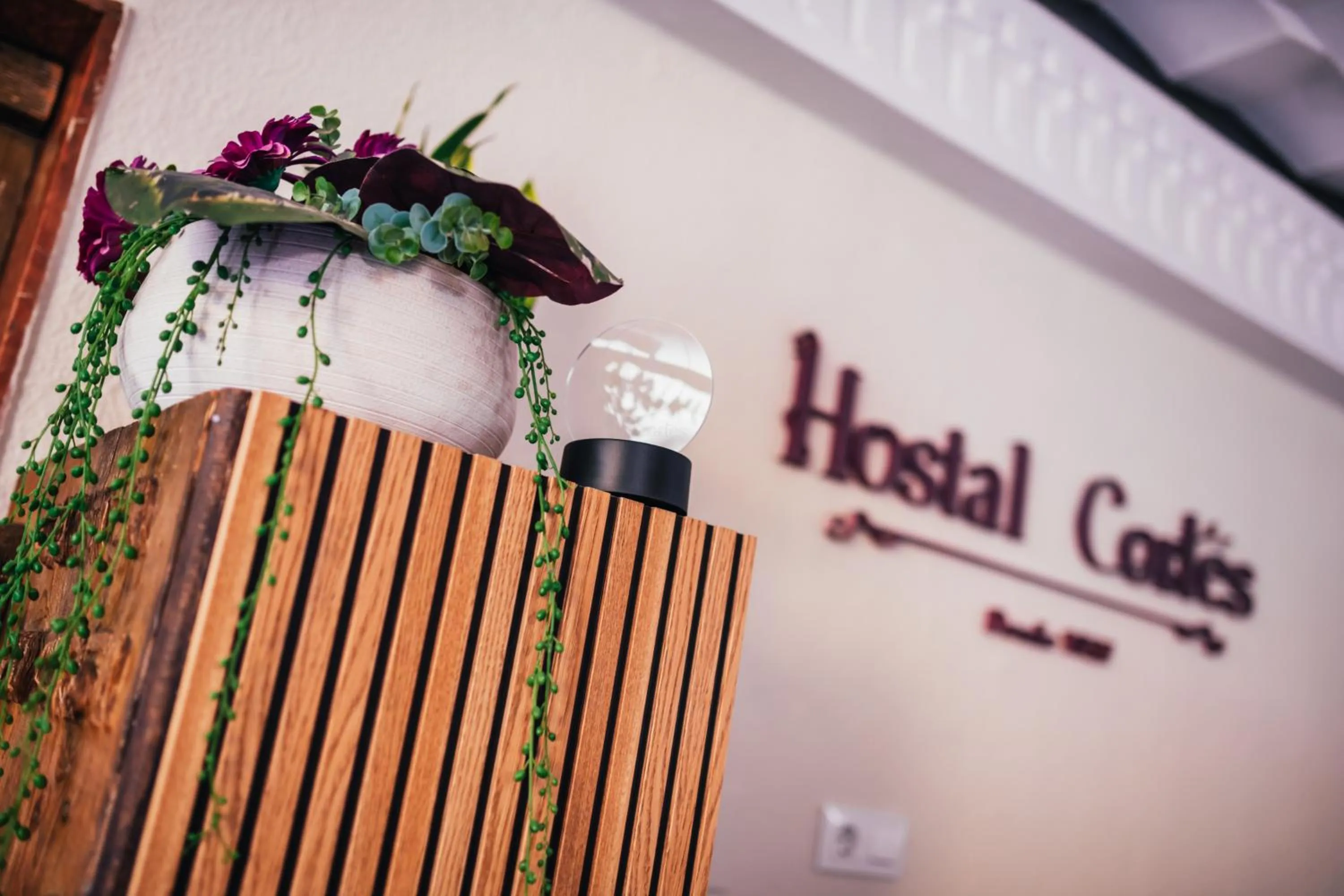 Lobby or reception in Hostal Cortés