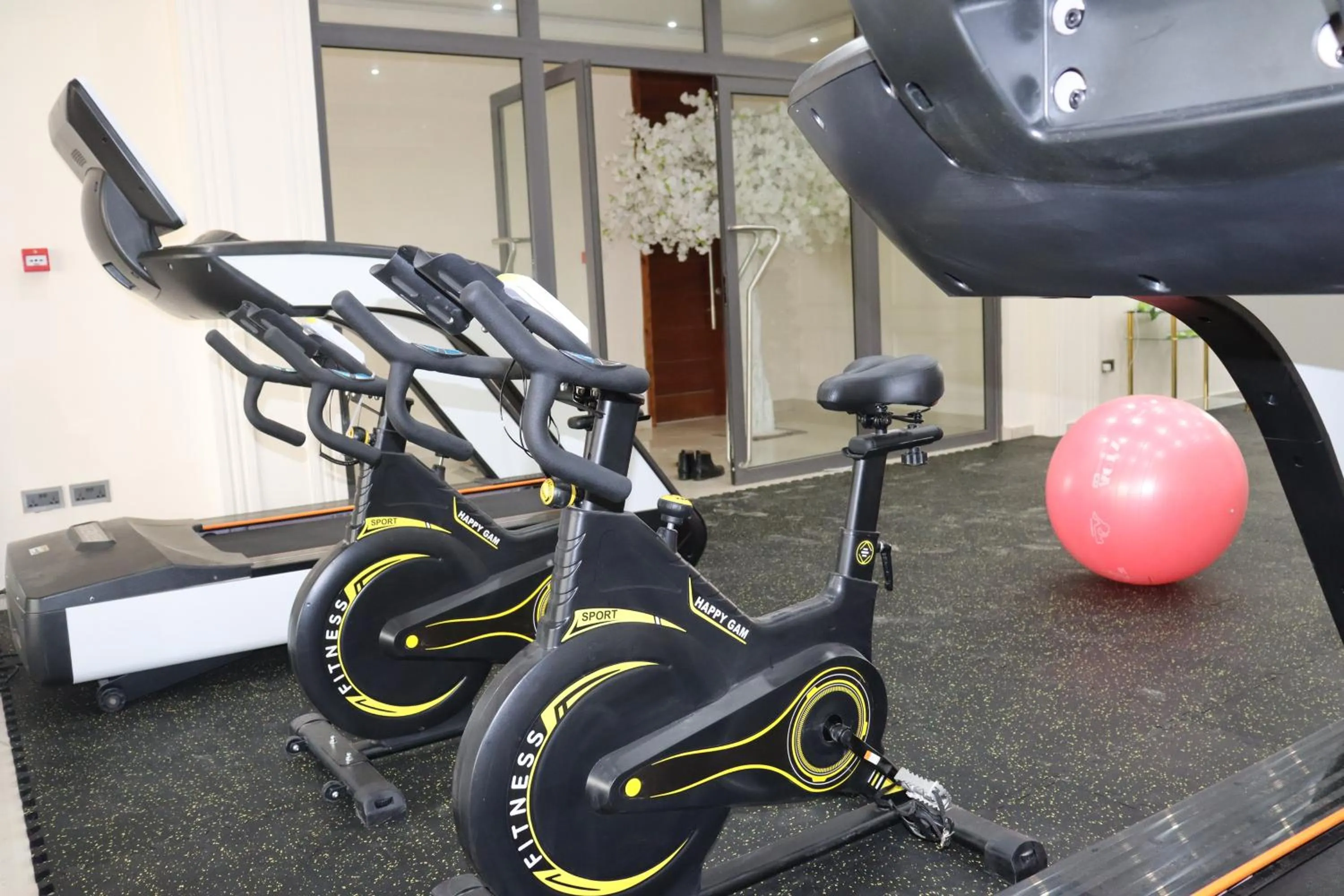 Fitness centre/facilities in Maya Villa