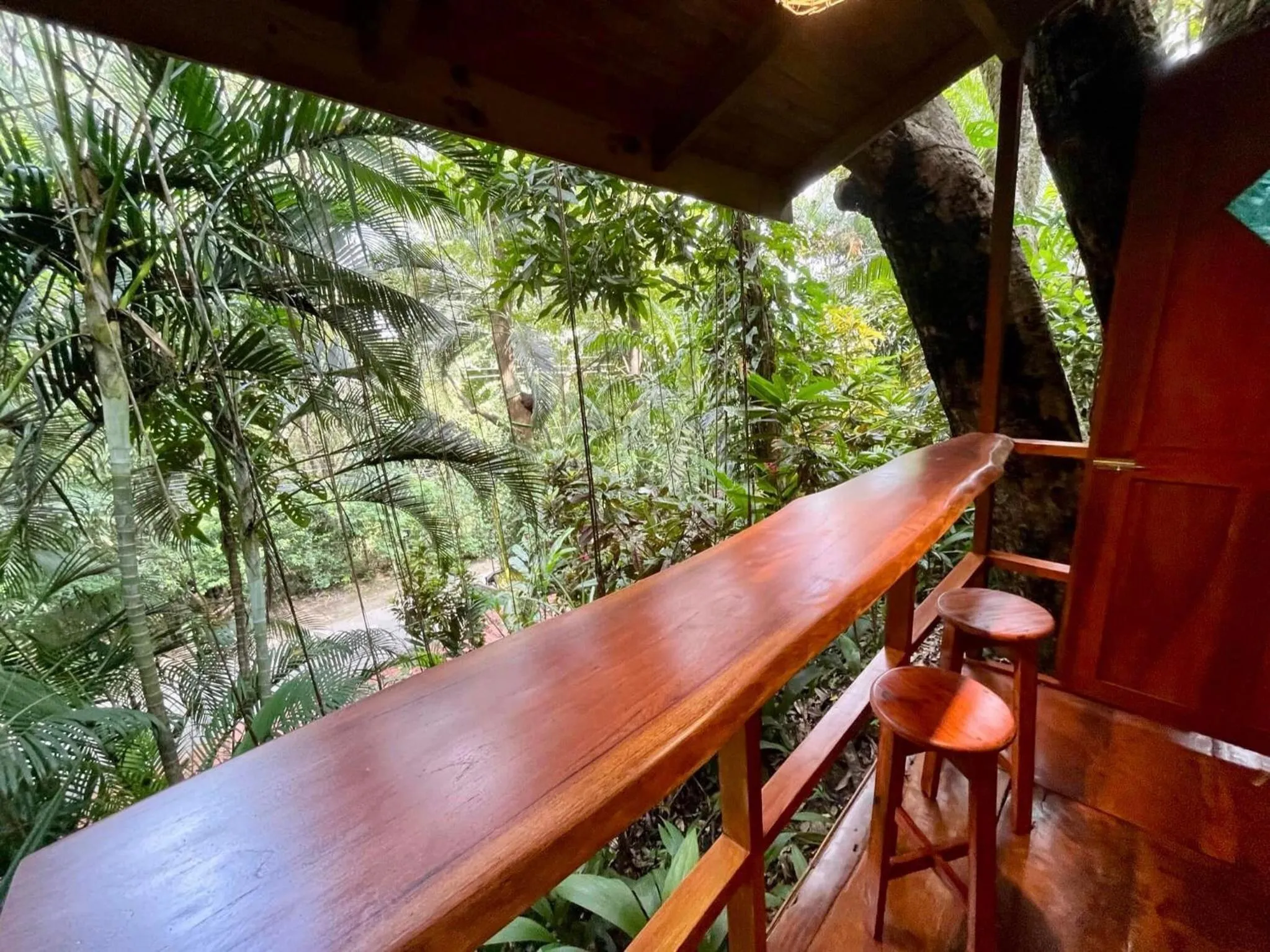 Balcony/Terrace in The Chorotega Hotel, Montezuma