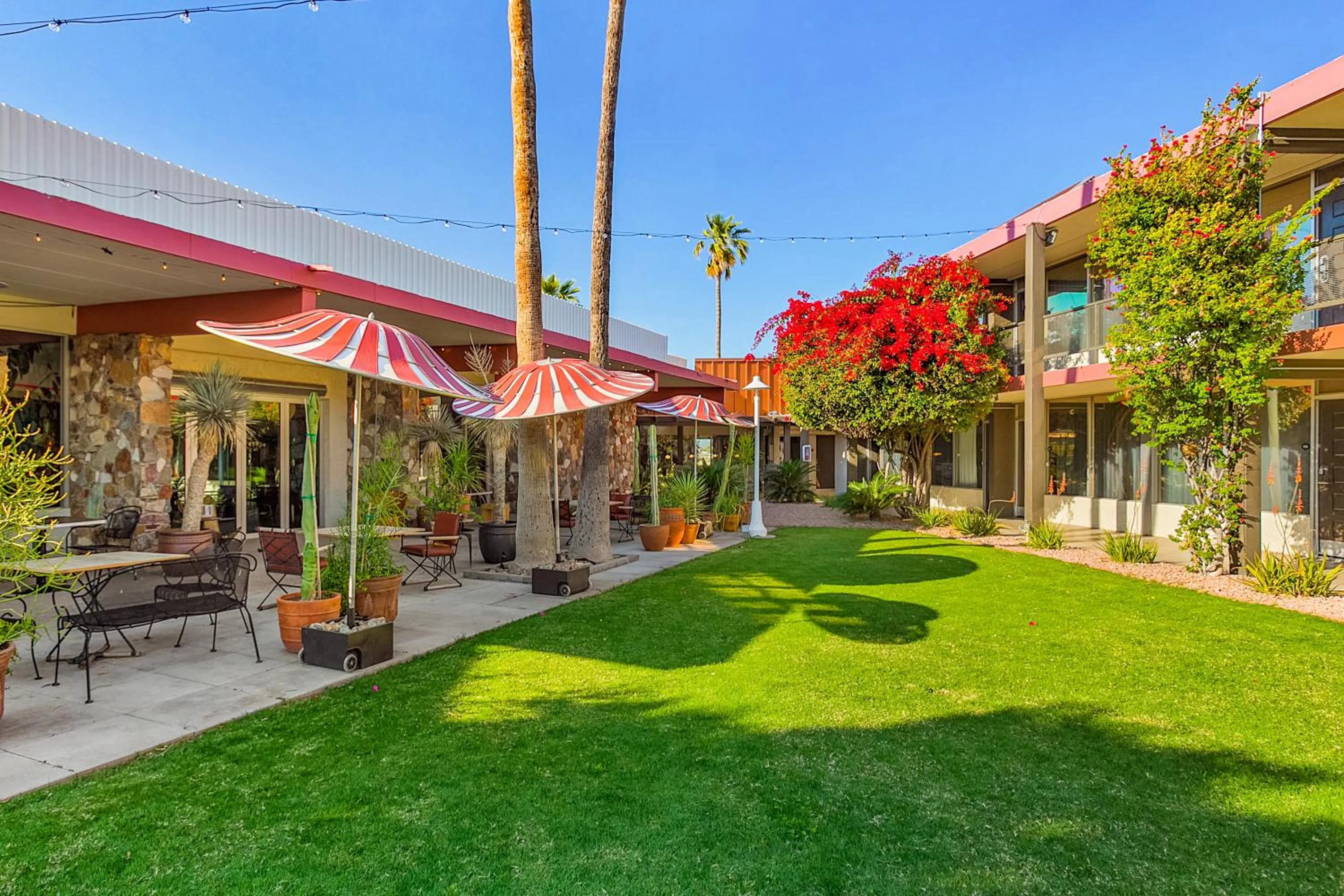 View (from property/room) in Papago Scottsdale by Reside, Trademark Collection by Wyndham