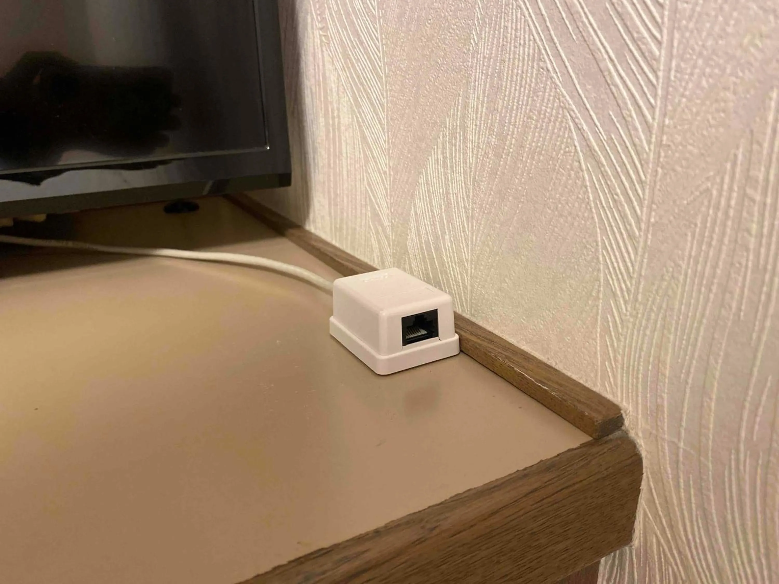 TV and multimedia in Smile Hotel Nagano