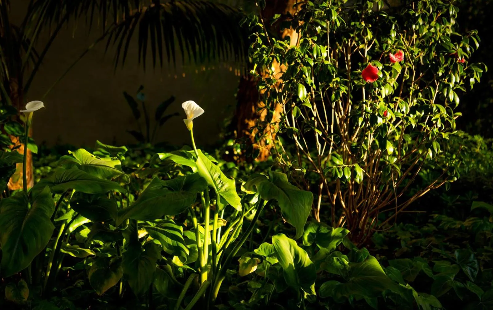 Spring in AQUA Hotel The Breeze & Spa - All Inclusive - Adults Only - 4Sup