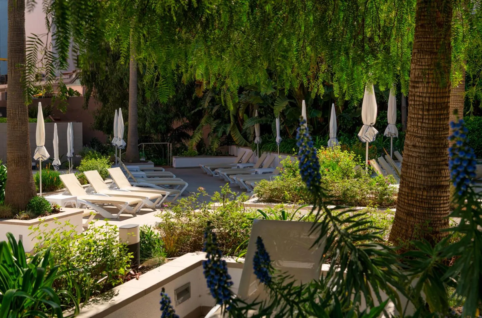 Natural landscape in AQUA Hotel The Breeze & Spa - All Inclusive - Adults Only - 4Sup