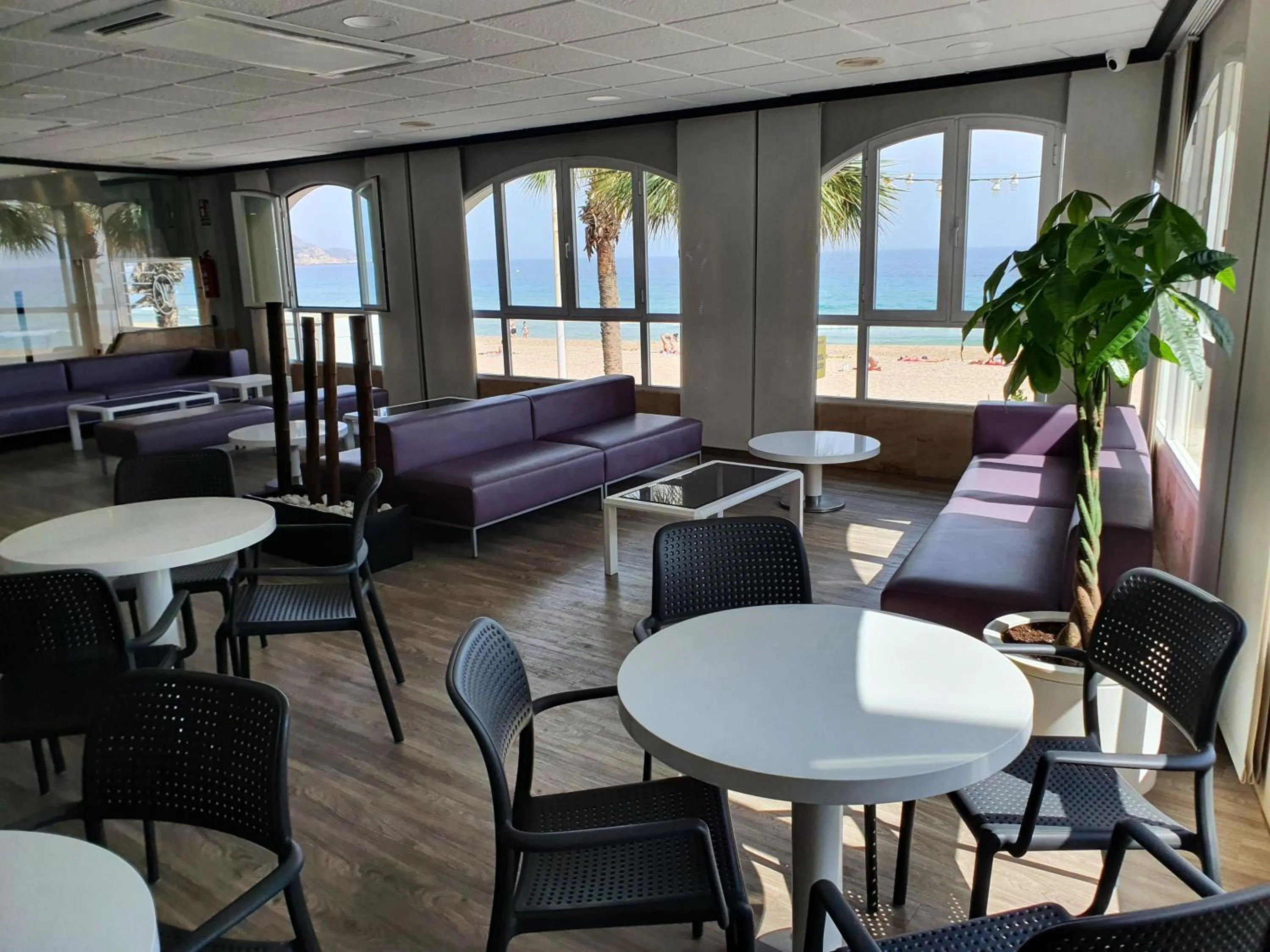 Lounge or bar in Hotel Bilbaino