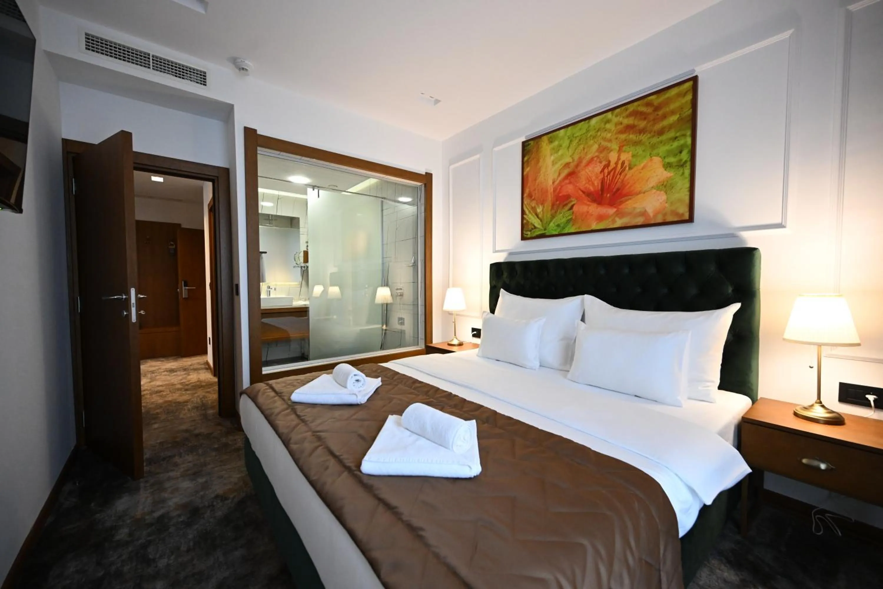 TV and multimedia, Bed in Hotel Tamiš & Spa