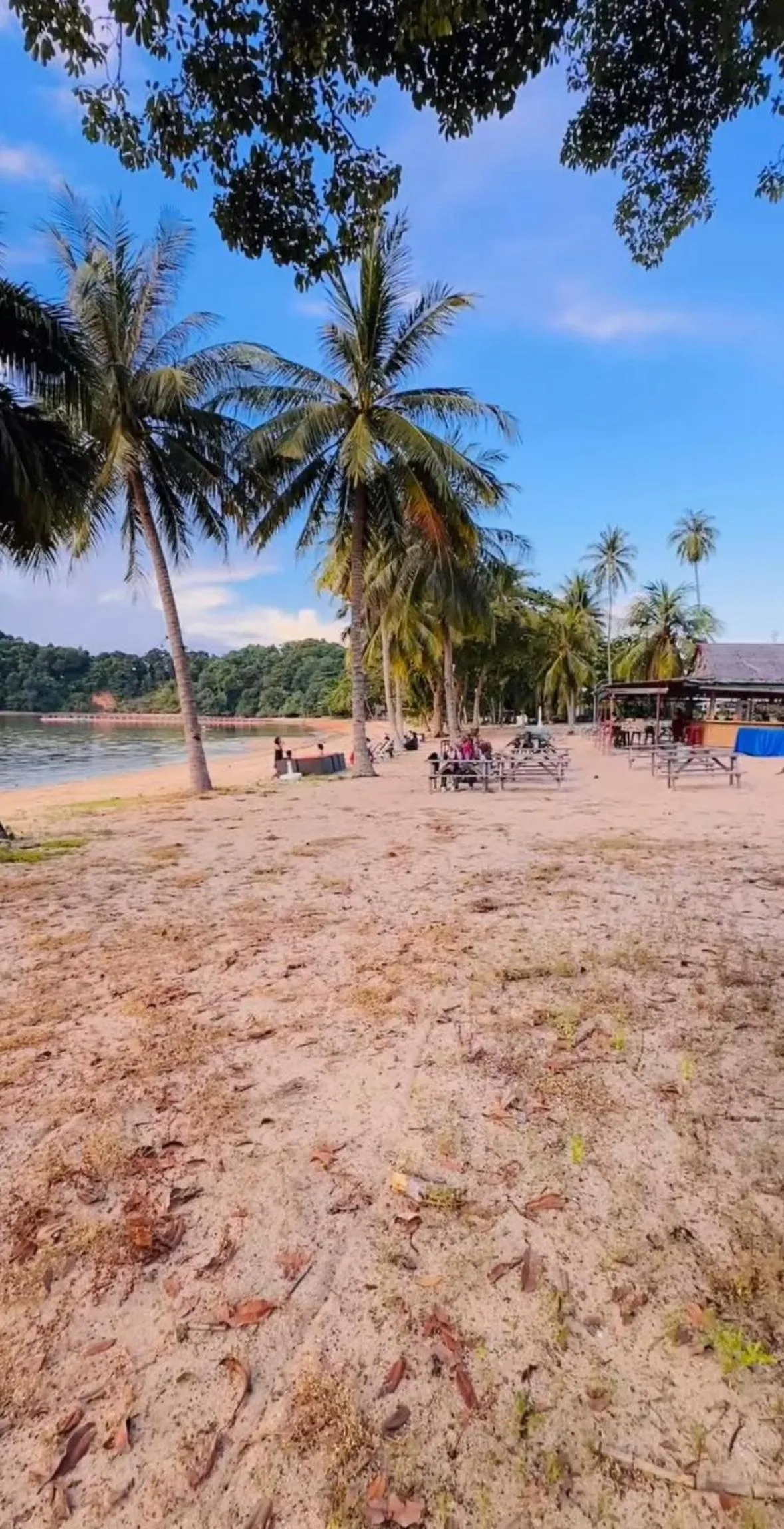 Beach in REOTEL at THE NOVE - NUVASA BAY Serviced Apartment