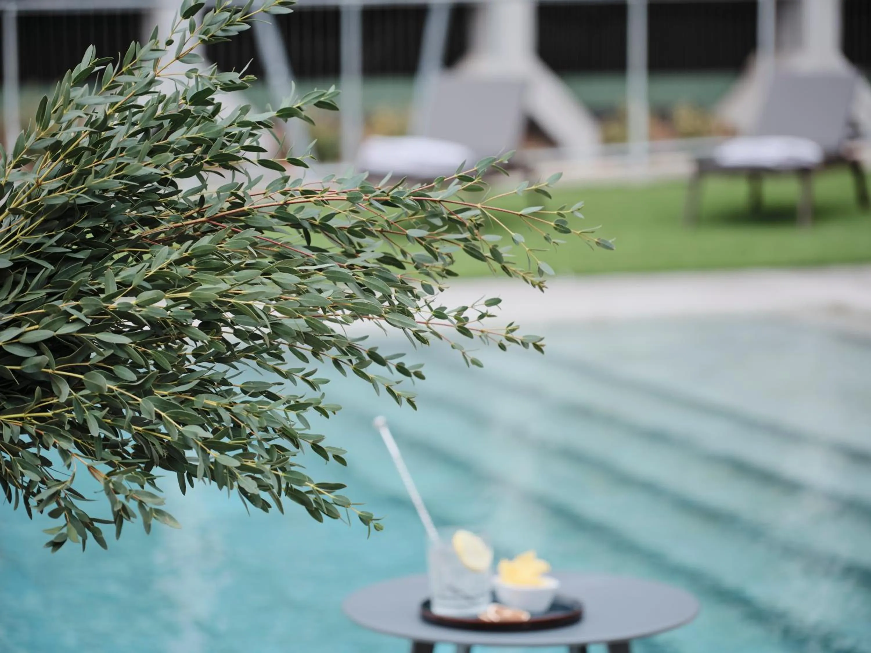 Swimming pool in Qgat Restaurant Events & Hotel