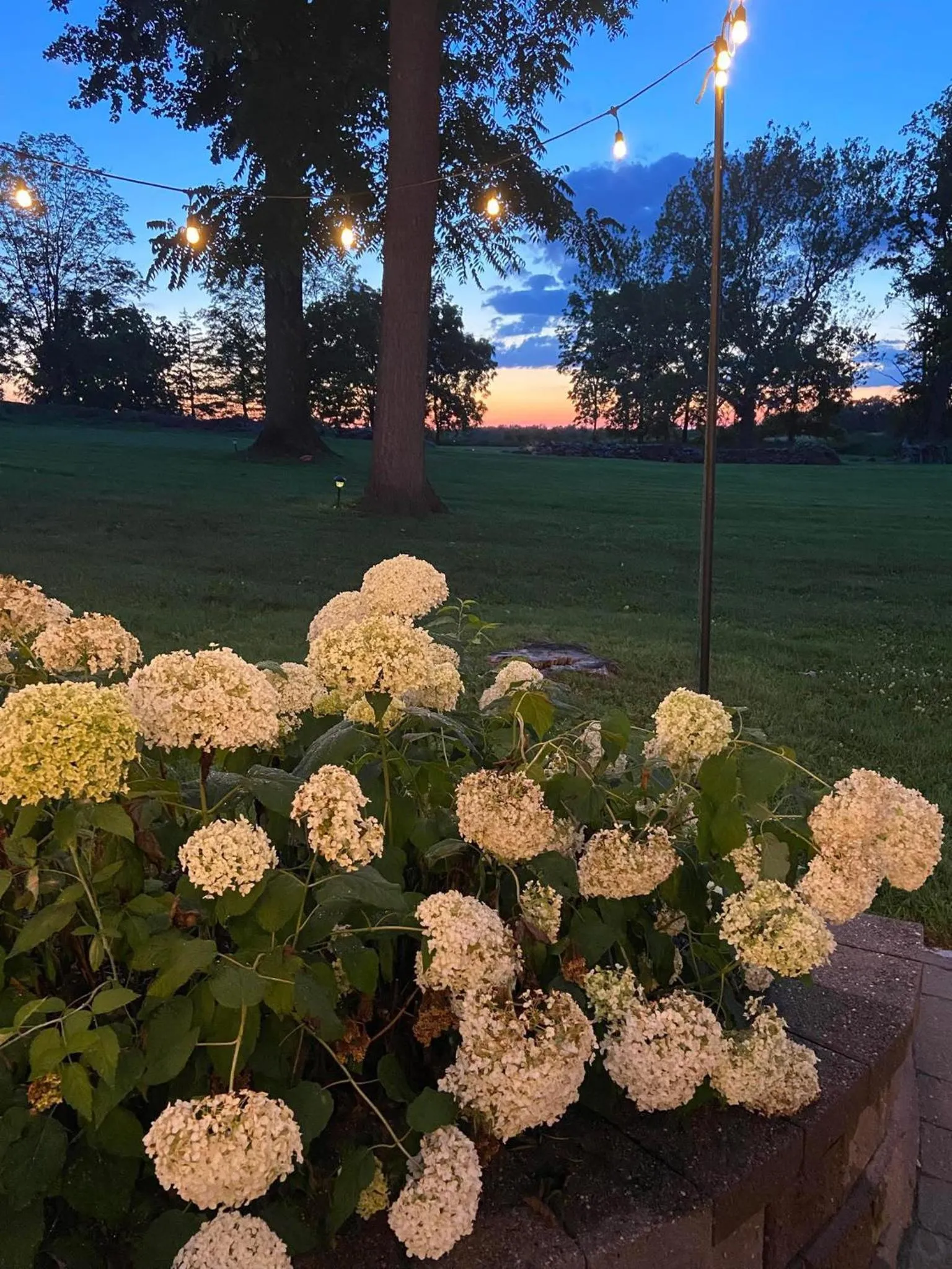 Garden view in Cromwell Manor Inn