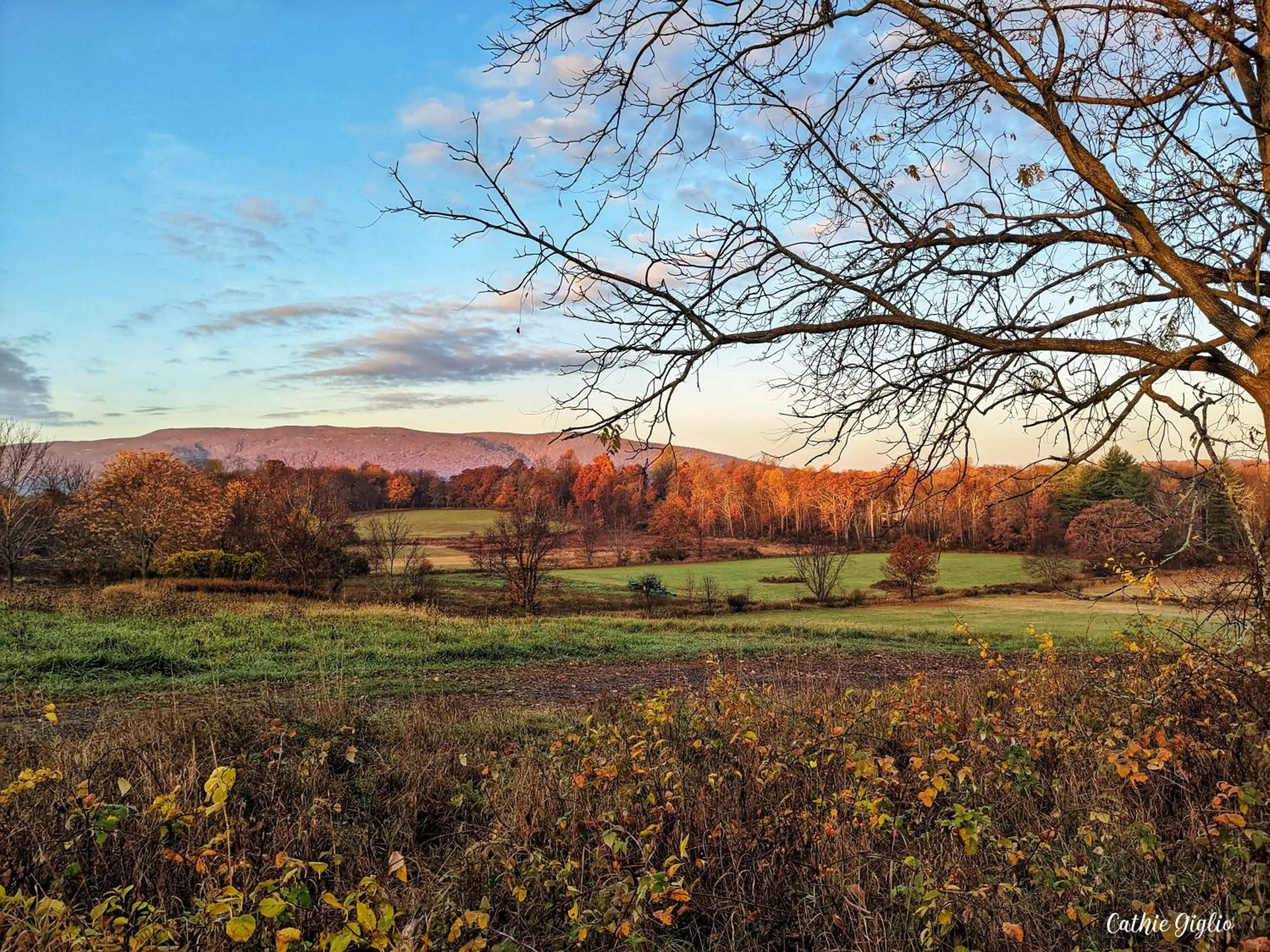 Natural landscape in Cromwell Manor Inn