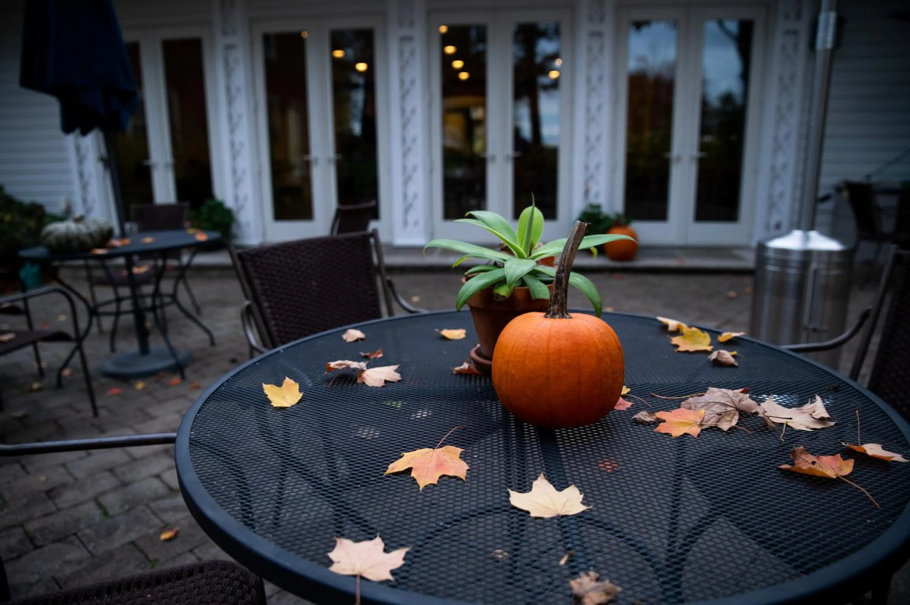 Patio in Cromwell Manor Inn