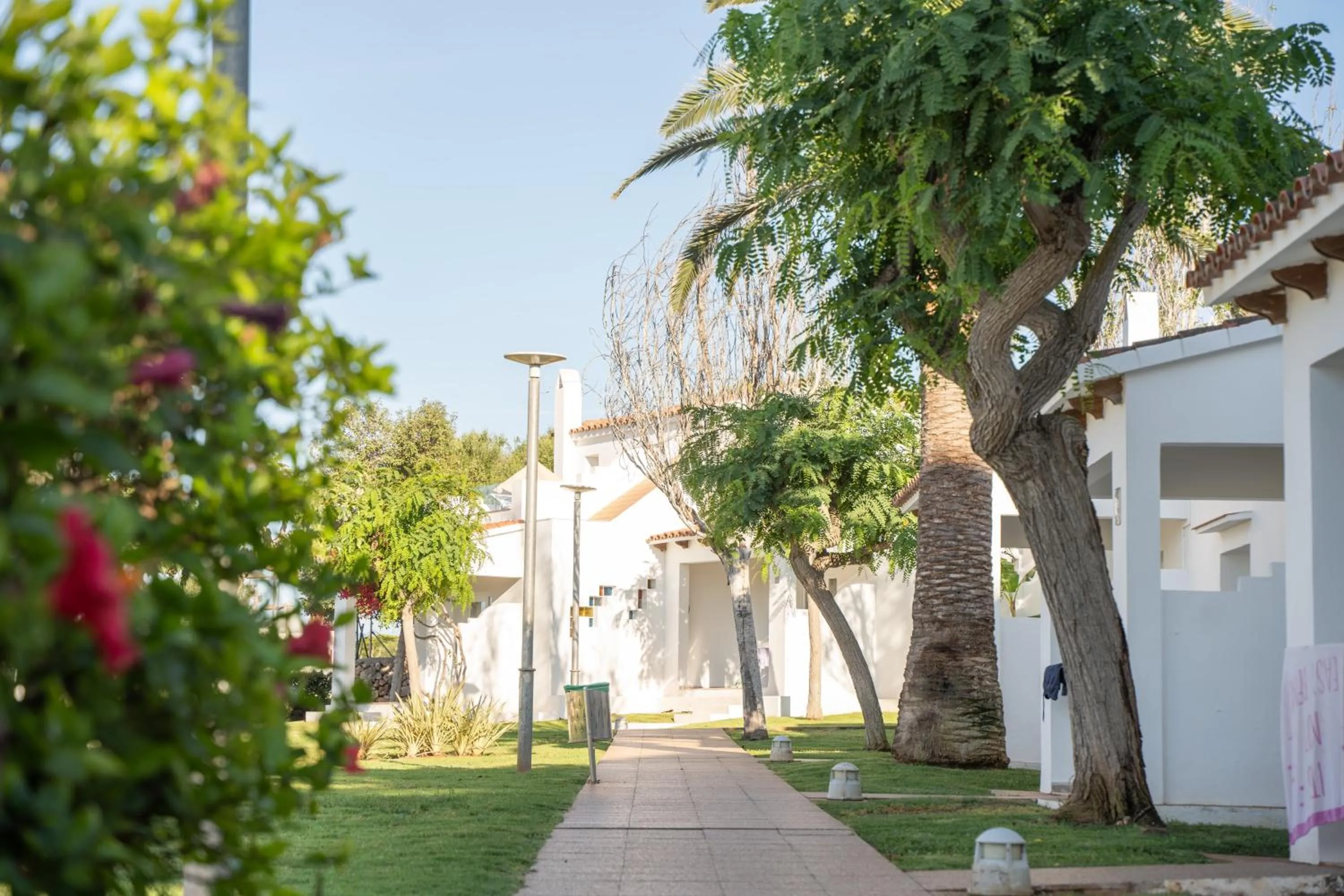Garden in Minura Sur Menorca