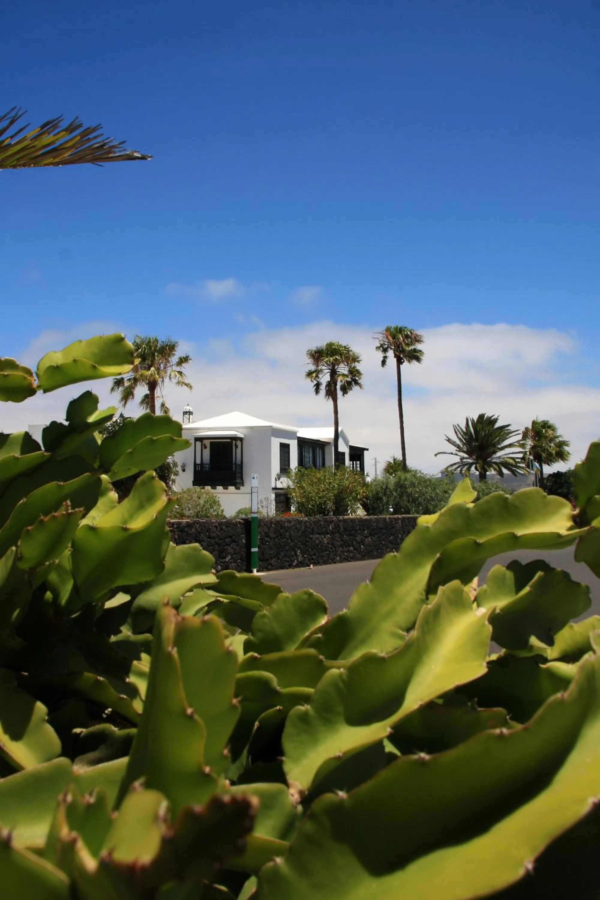 View (from property/room) in Hotel Rural Finca de La Florida