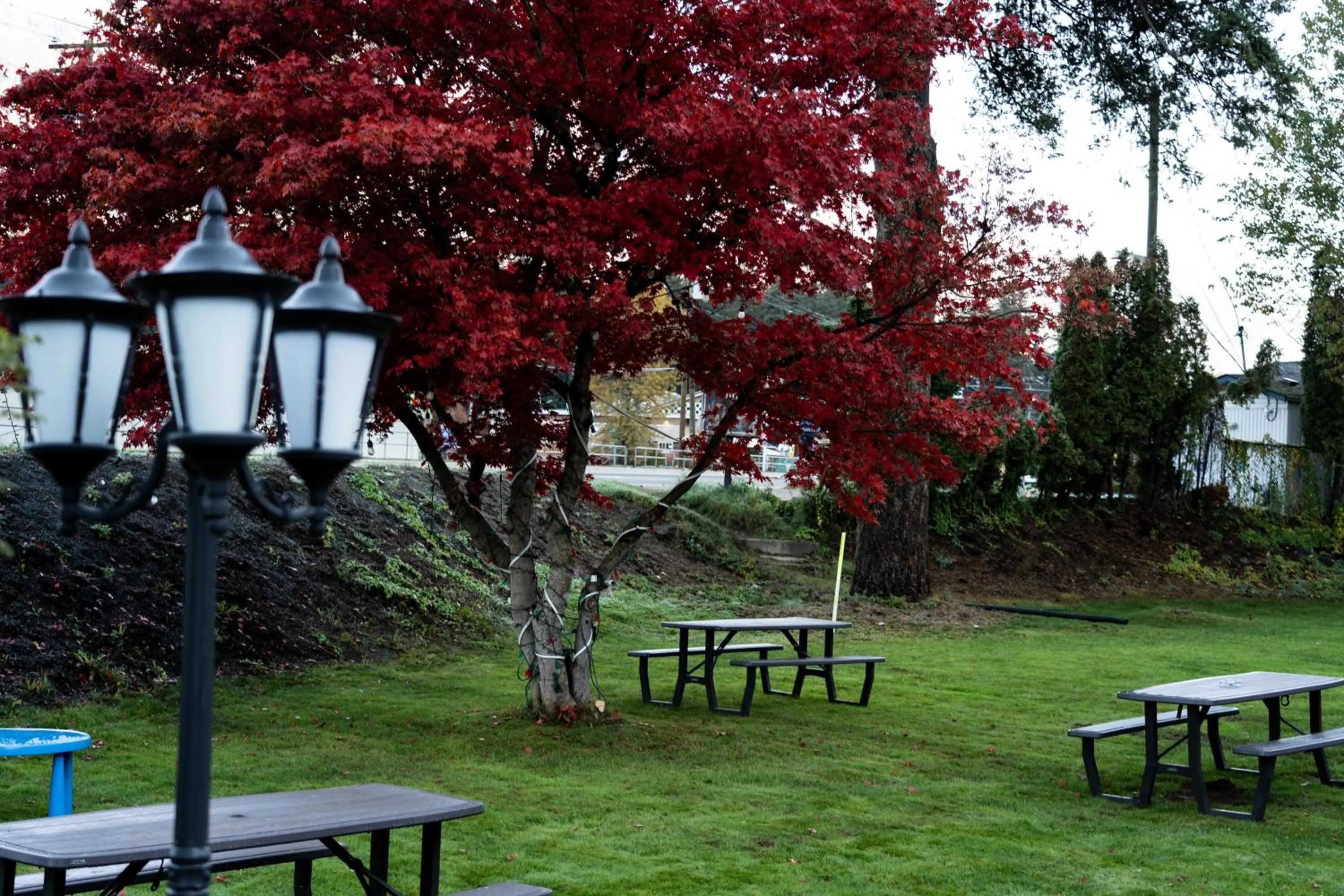 Natural landscape in Mountain View Hope Motel