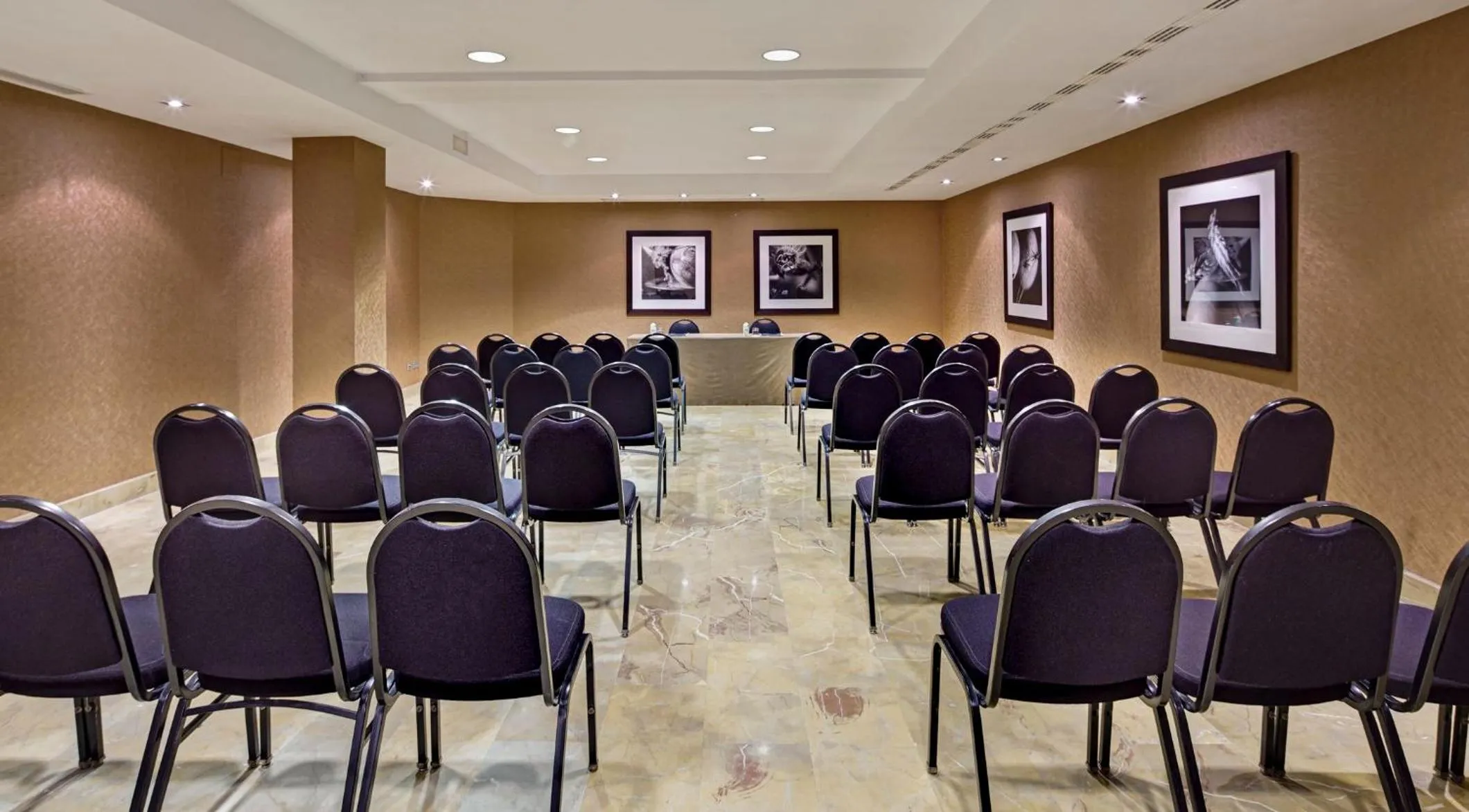 Meeting/conference room in Sercotel Puerta de la Catedral