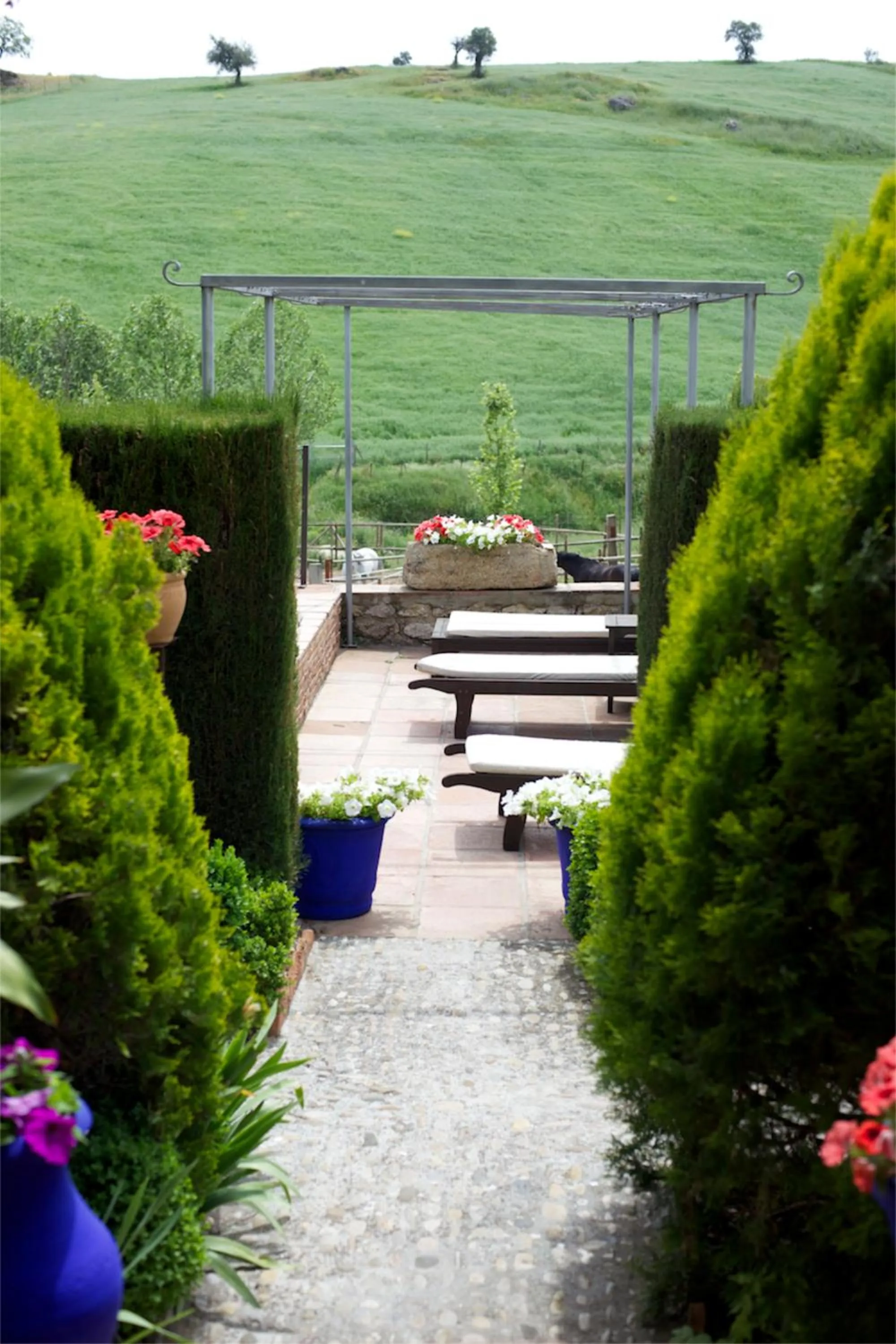 Garden in Alavera de los Baños