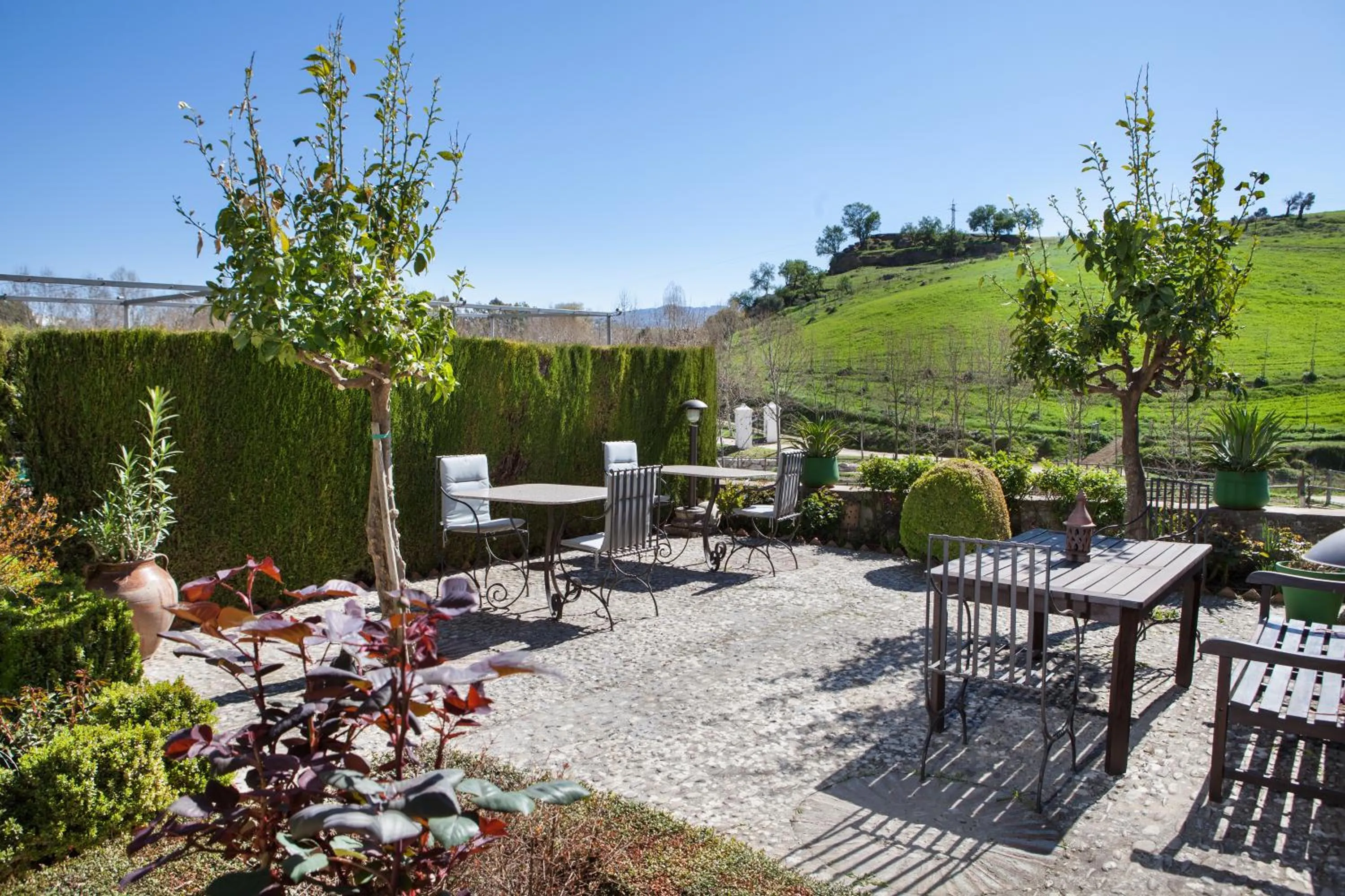 Garden in Alavera de los Baños