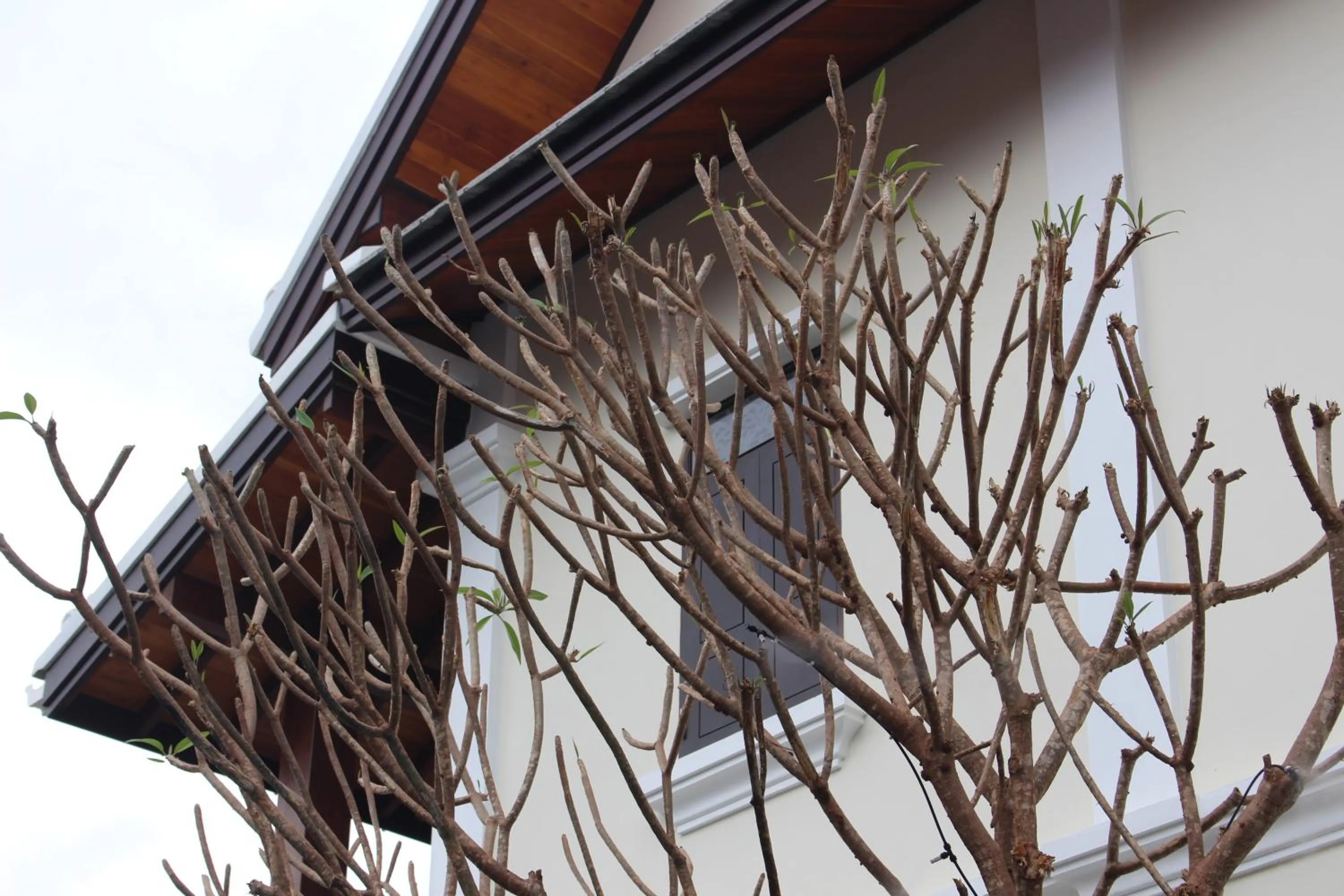 Property building in Lux Hotel