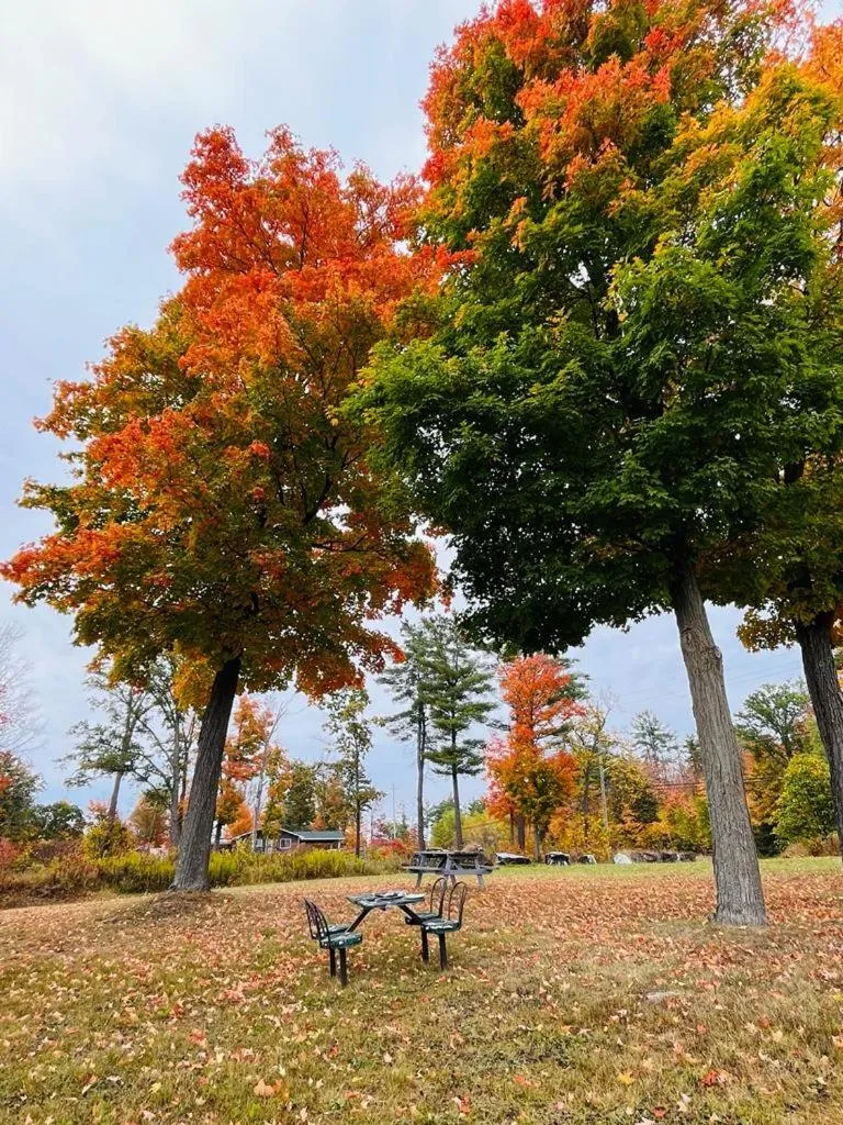 Autumn in Calabogie Motor Inn
