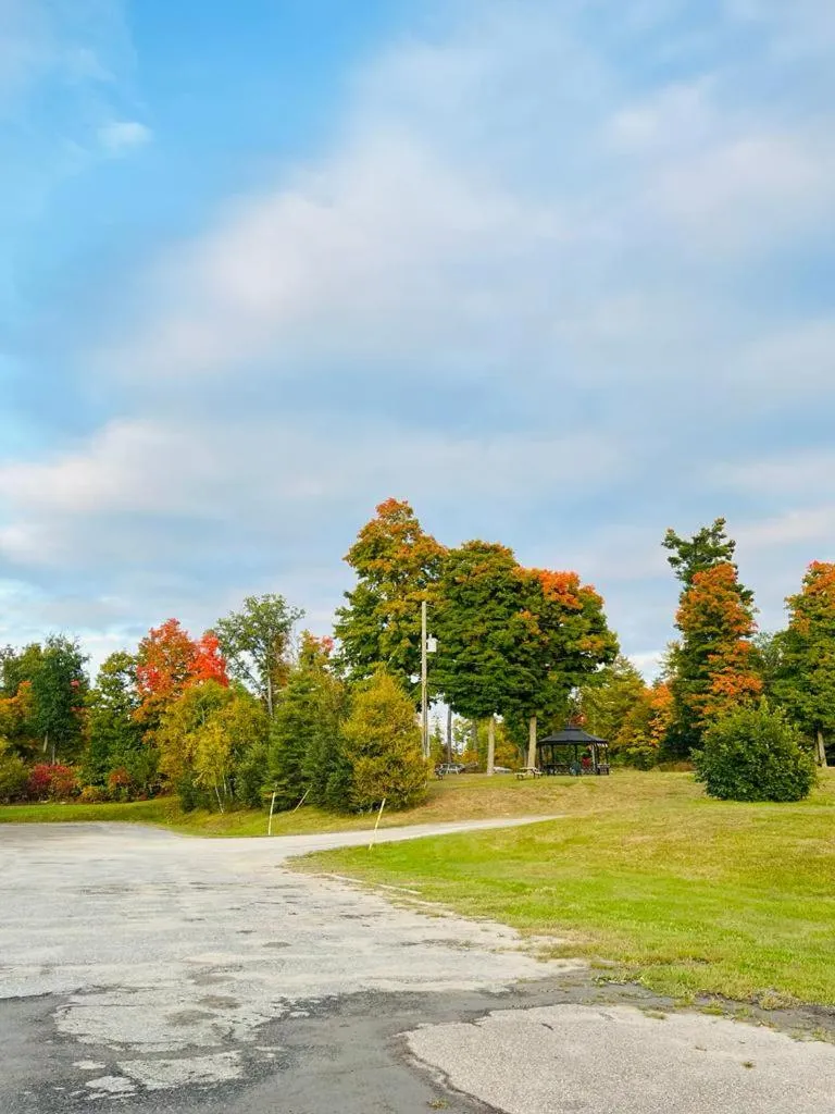 Natural landscape in Calabogie Motor Inn