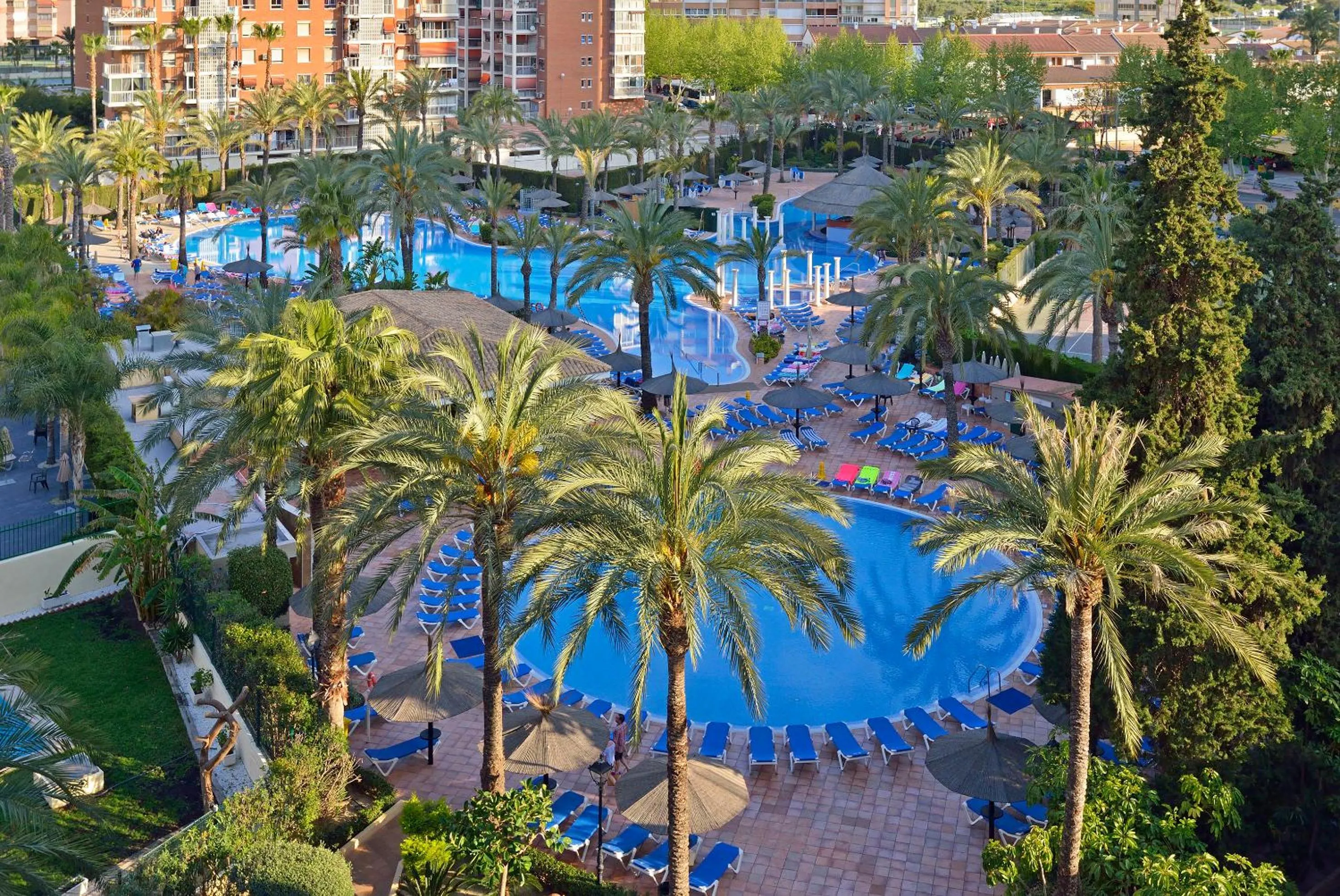 Swimming pool in Sol Pelicanos Ocas