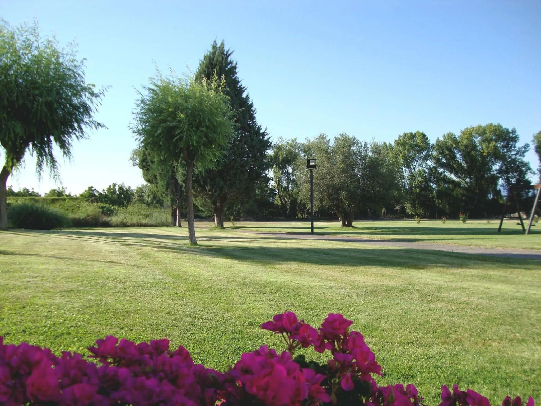 Garden in Hotel San Camilo