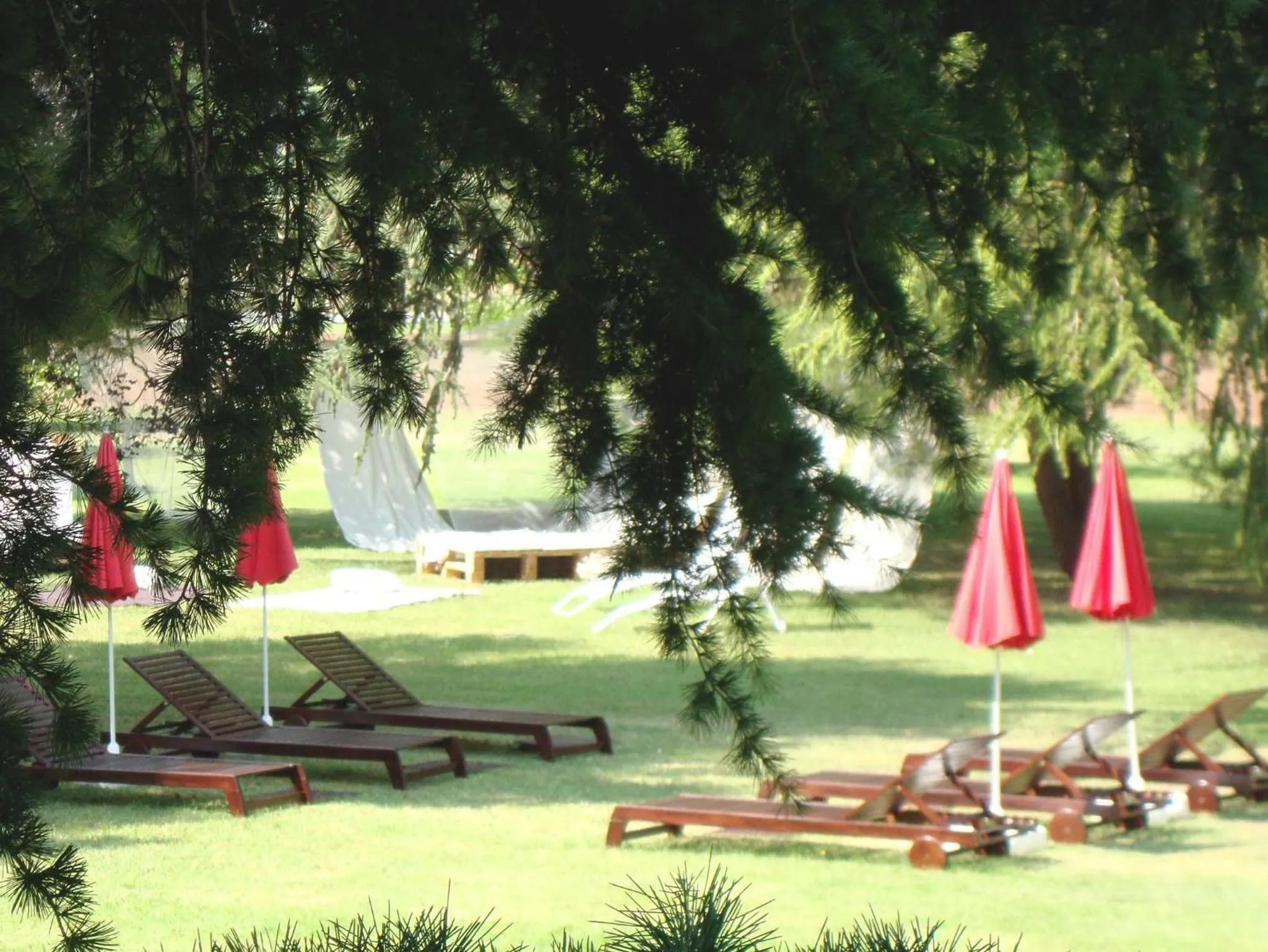 Activities in Hotel San Camilo