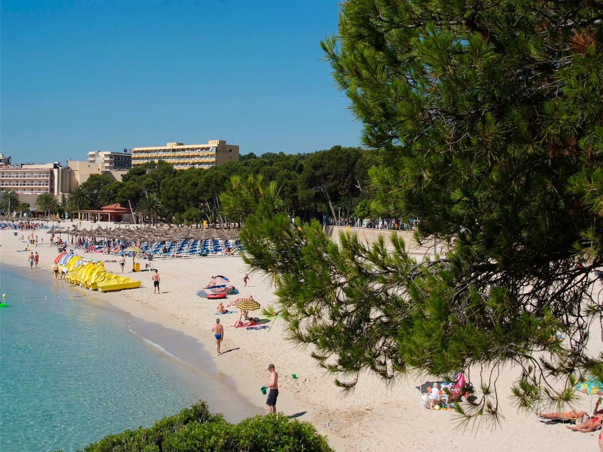 Beach in Las Palomas Apartments Econotels