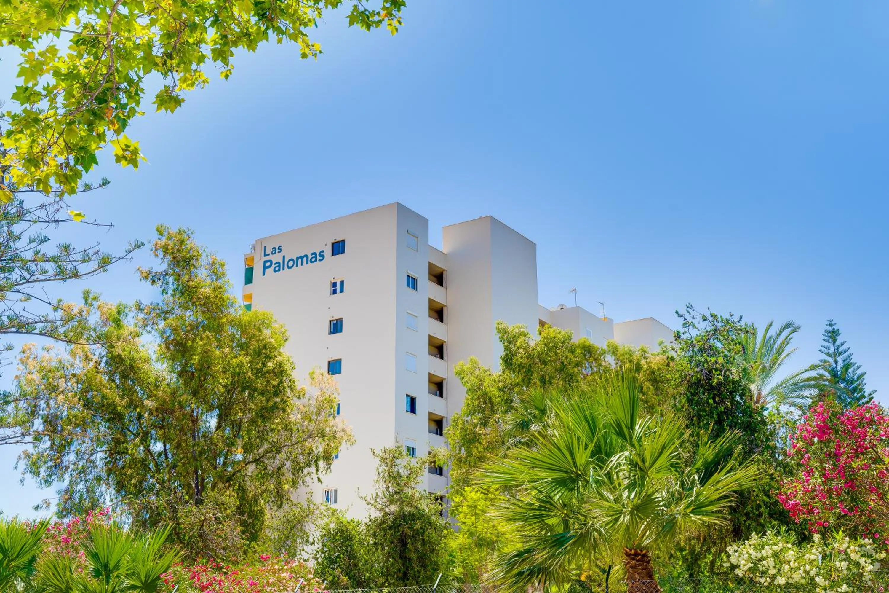 Property building in Las Palomas Apartments Econotels