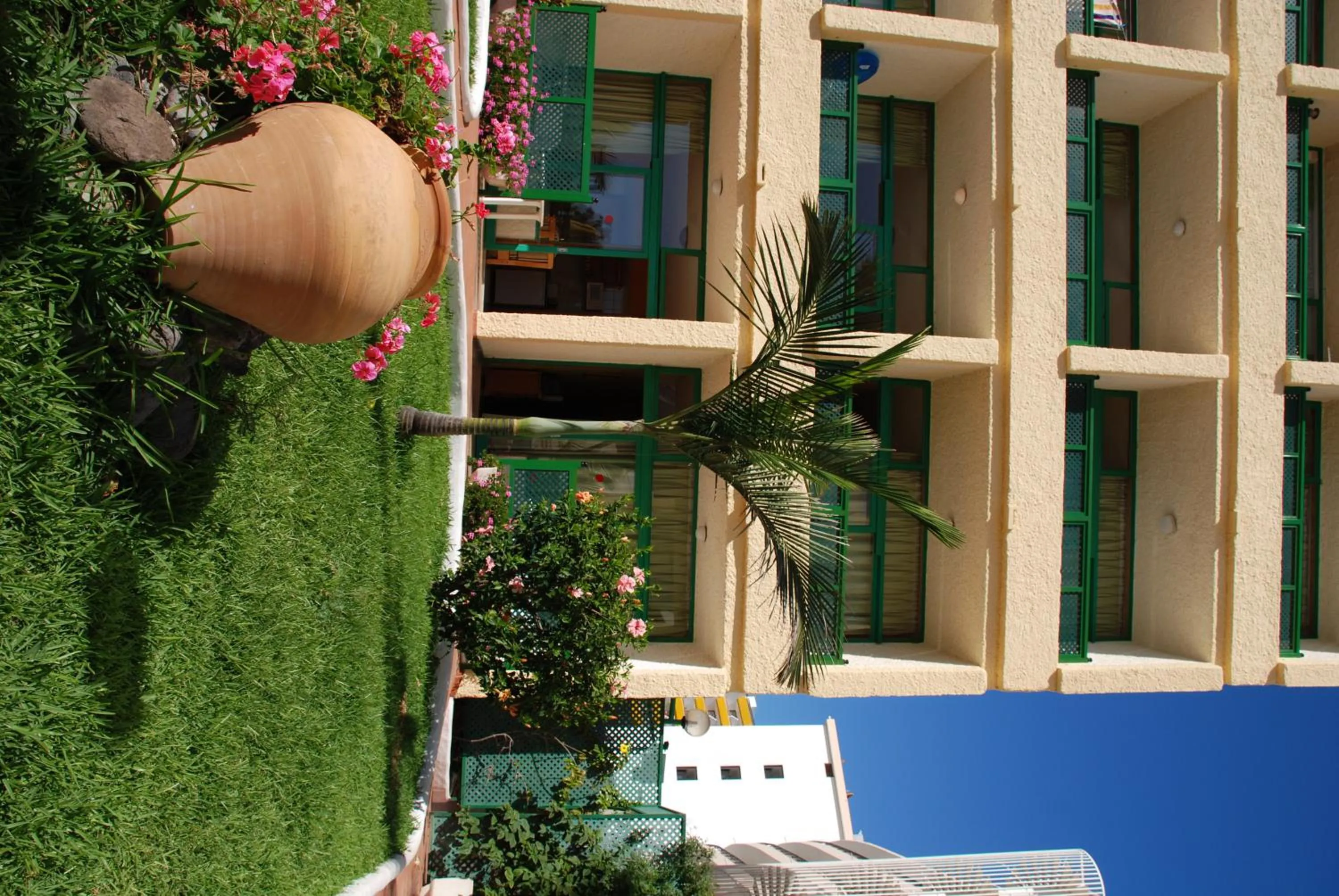 Garden in Apartamentos Las Dunas