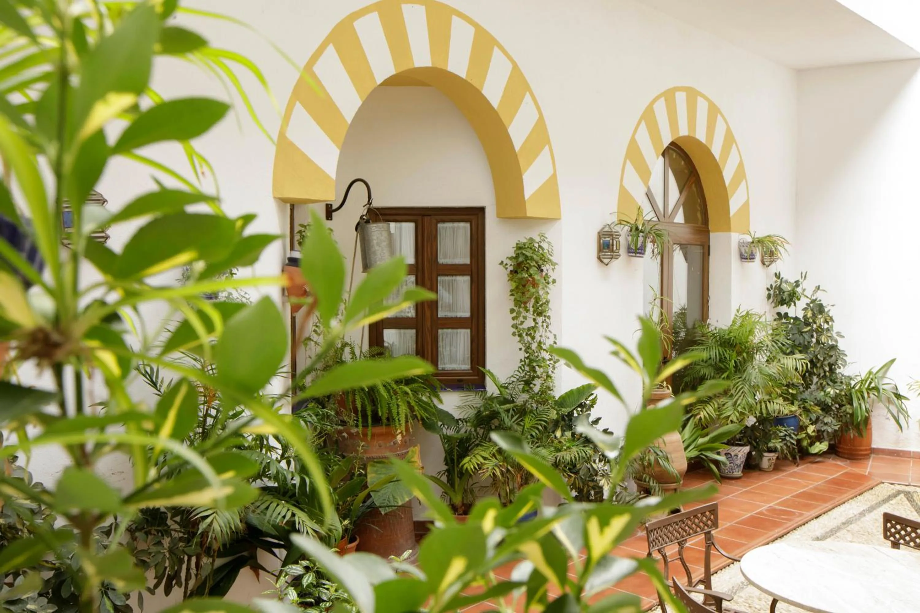 Patio in Hotel San Miguel