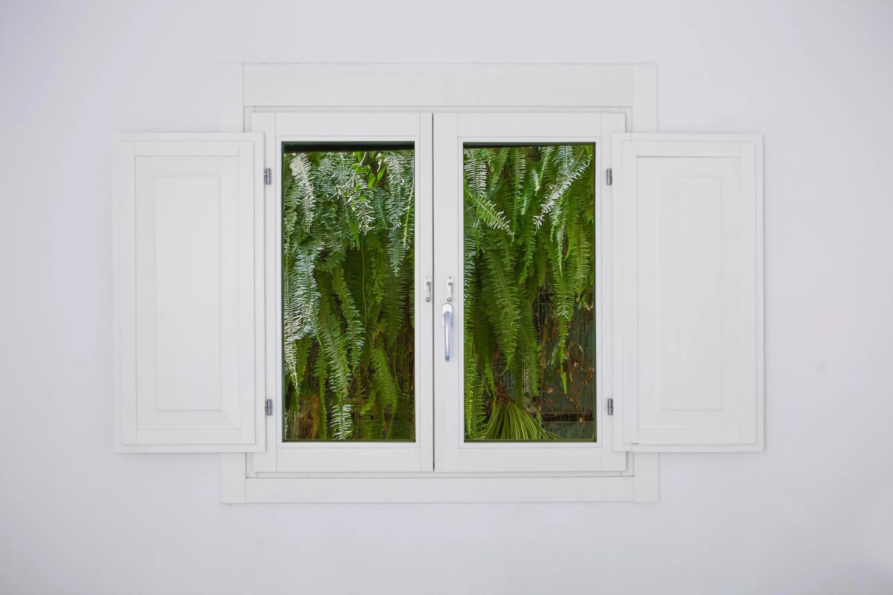 View (from property/room) in Eco Boutique Hostal Grau