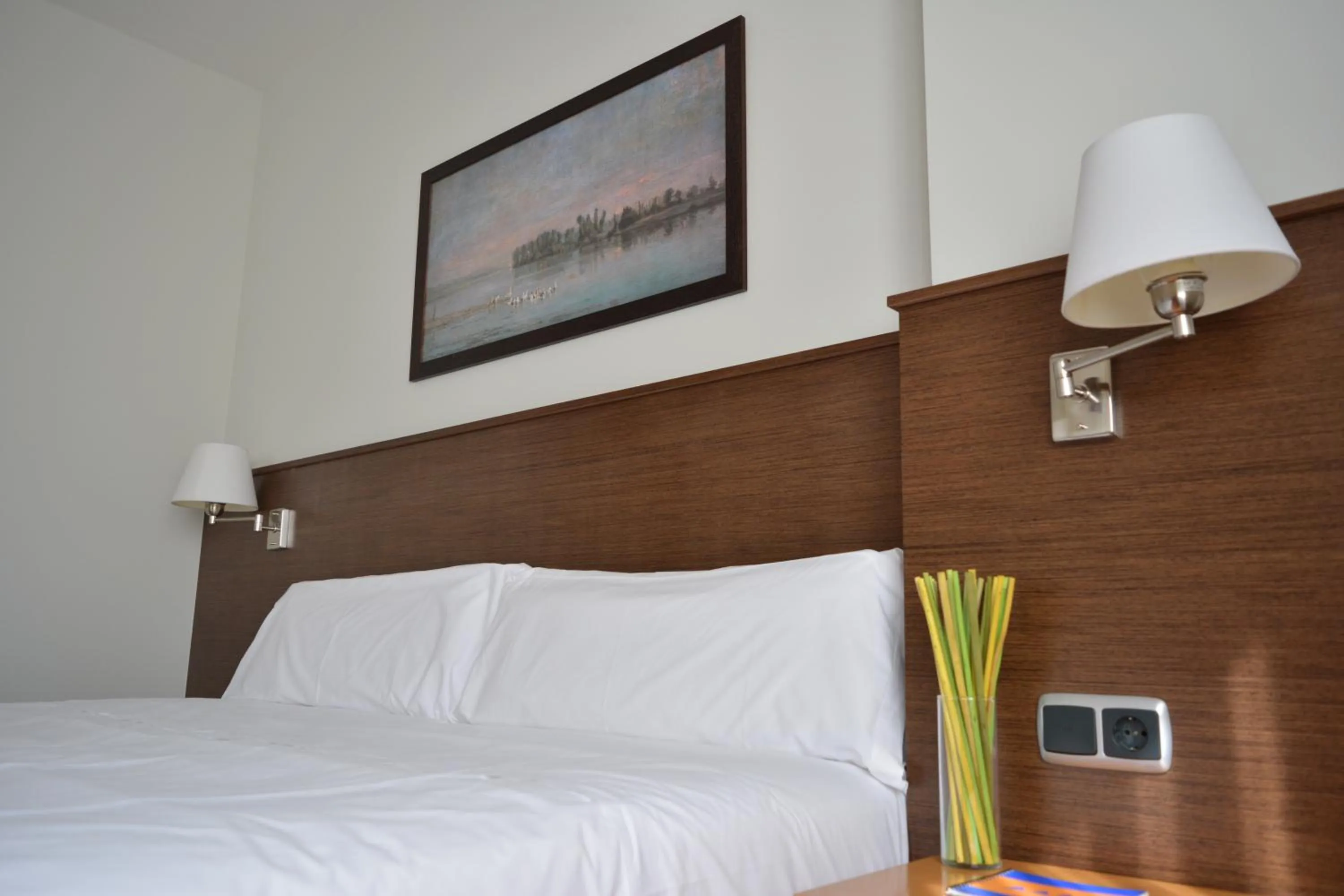 Decorative detail, Bed in Hotel Palacio Congresos