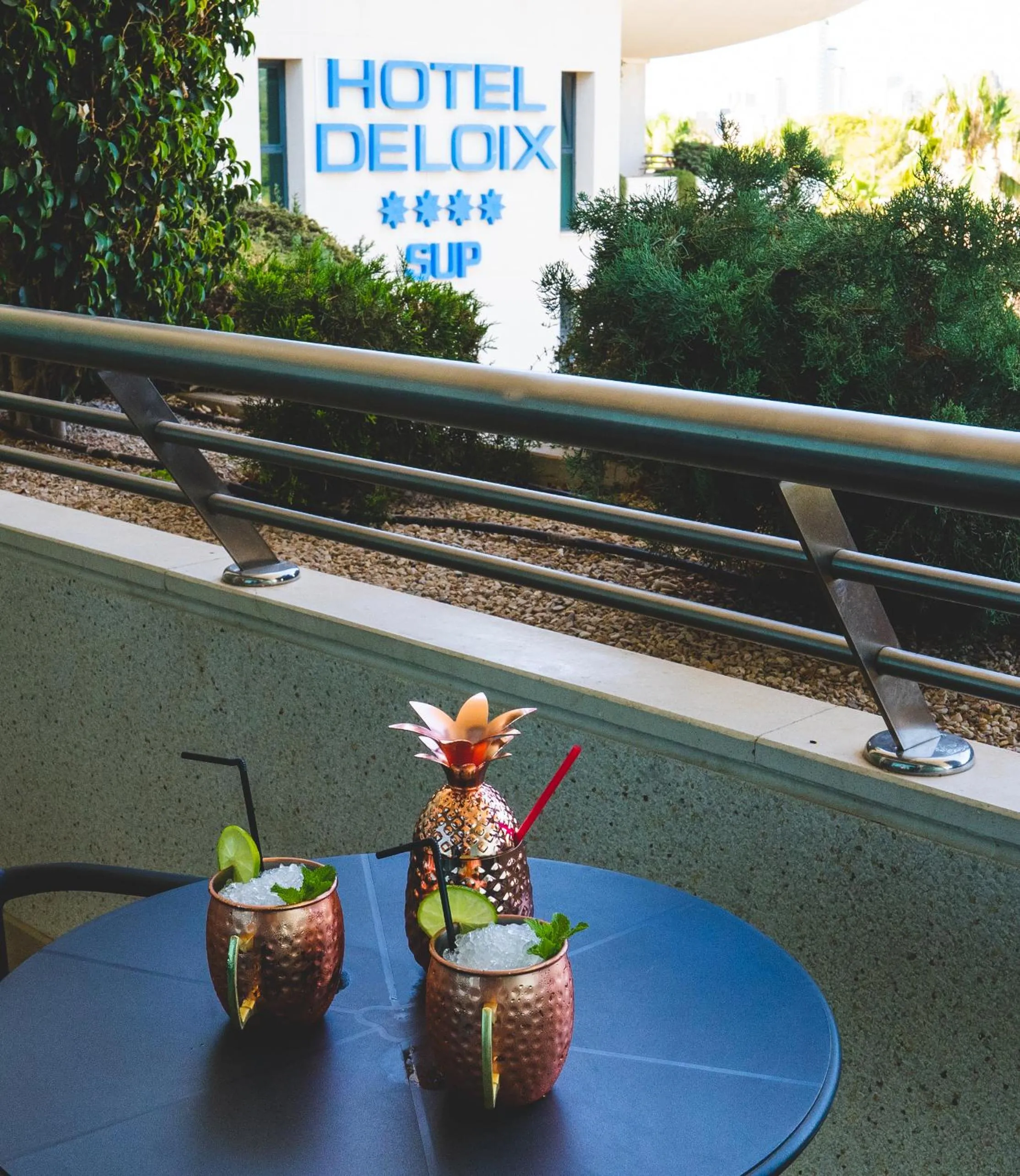 Garden view in Hotel Deloix 4* Sup