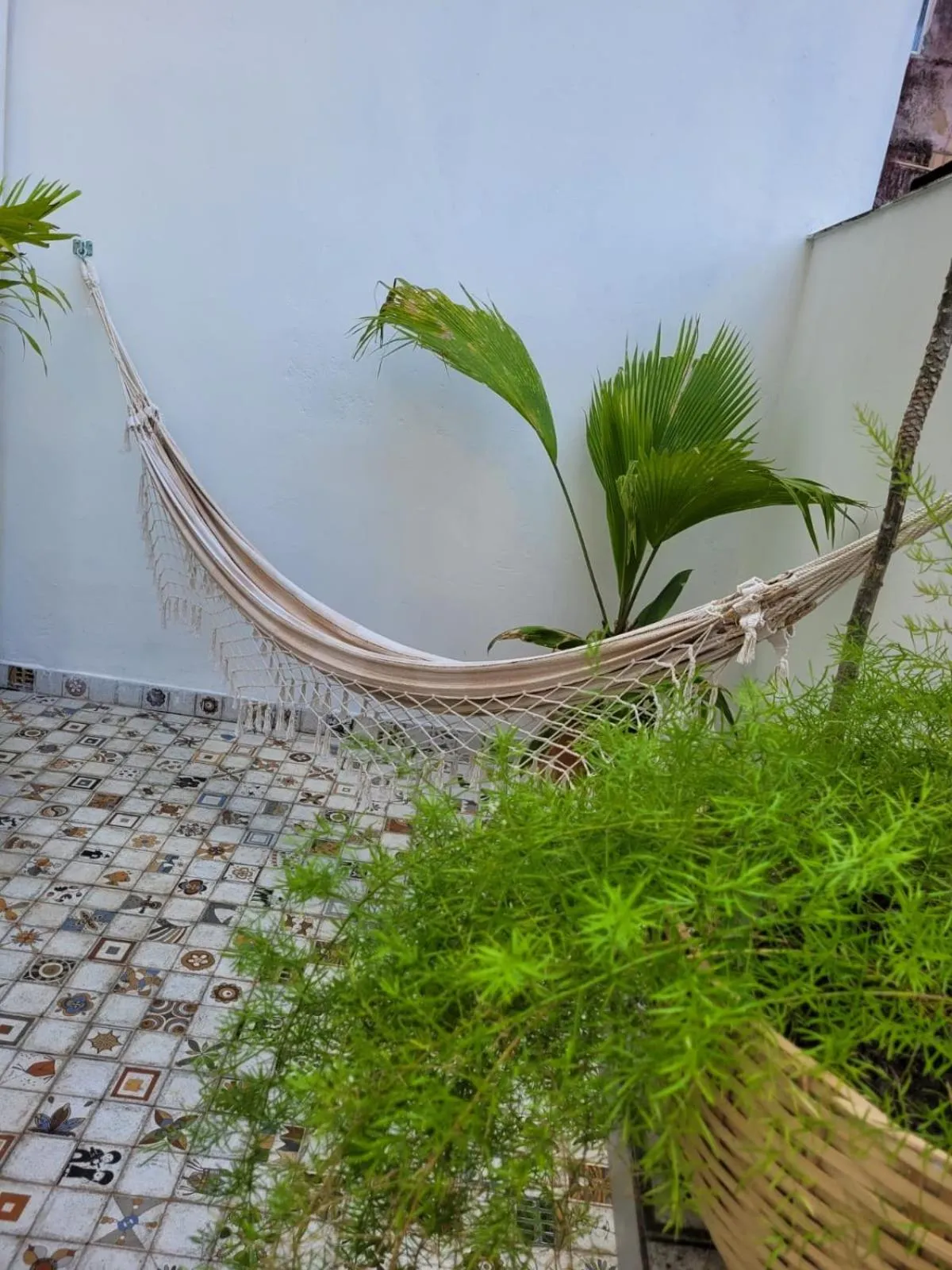Patio in Pelourinho Boutique Hotel - OH HOTÉIS