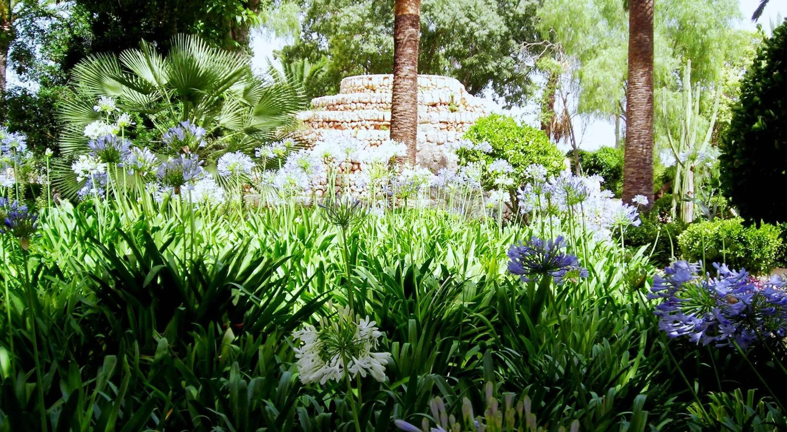 Garden in Son Julia Country House & Spa