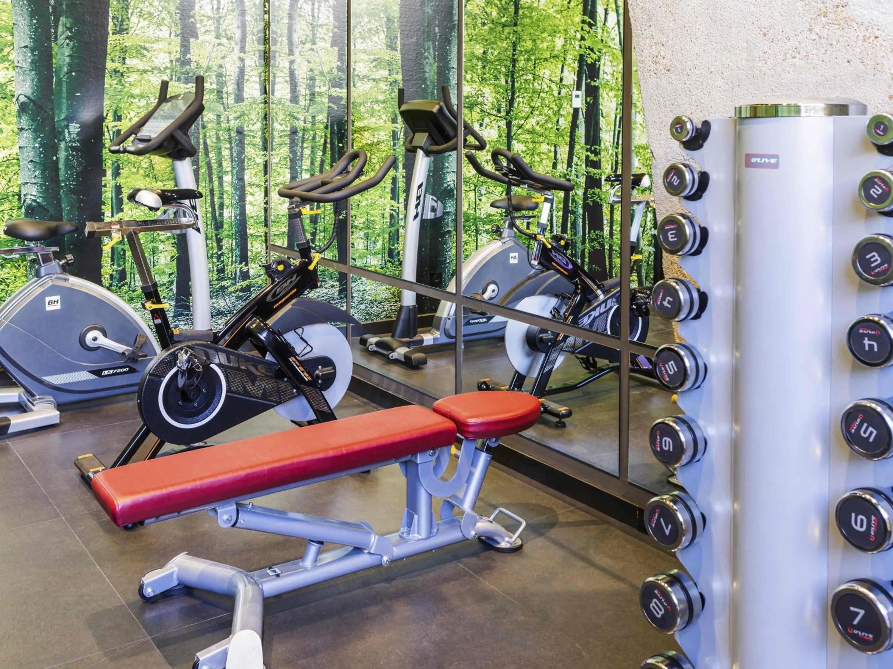 Fitness centre/facilities in Novotel Sevilla