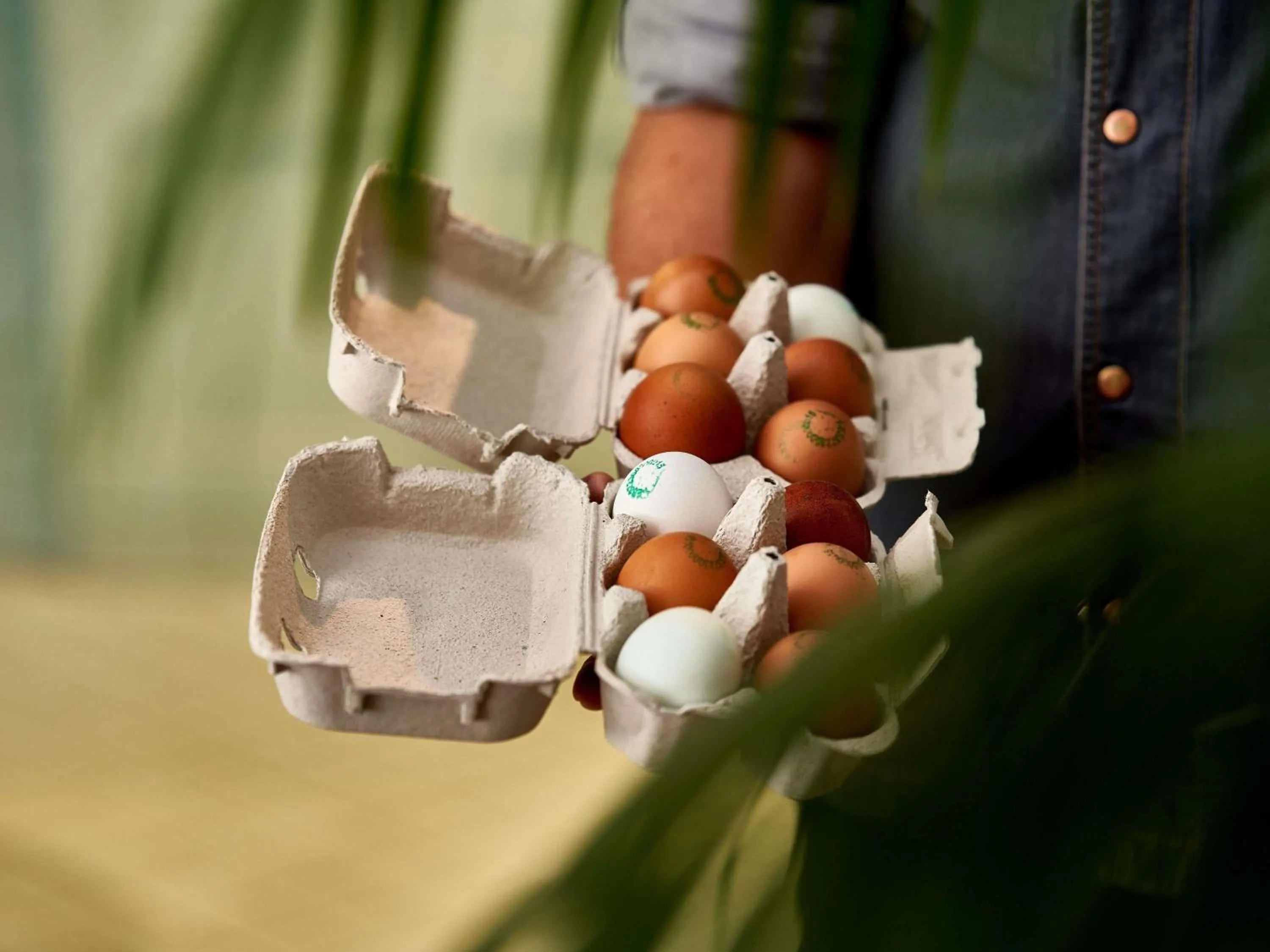 Restaurant/places to eat in Novotel Campo De Las Naciones