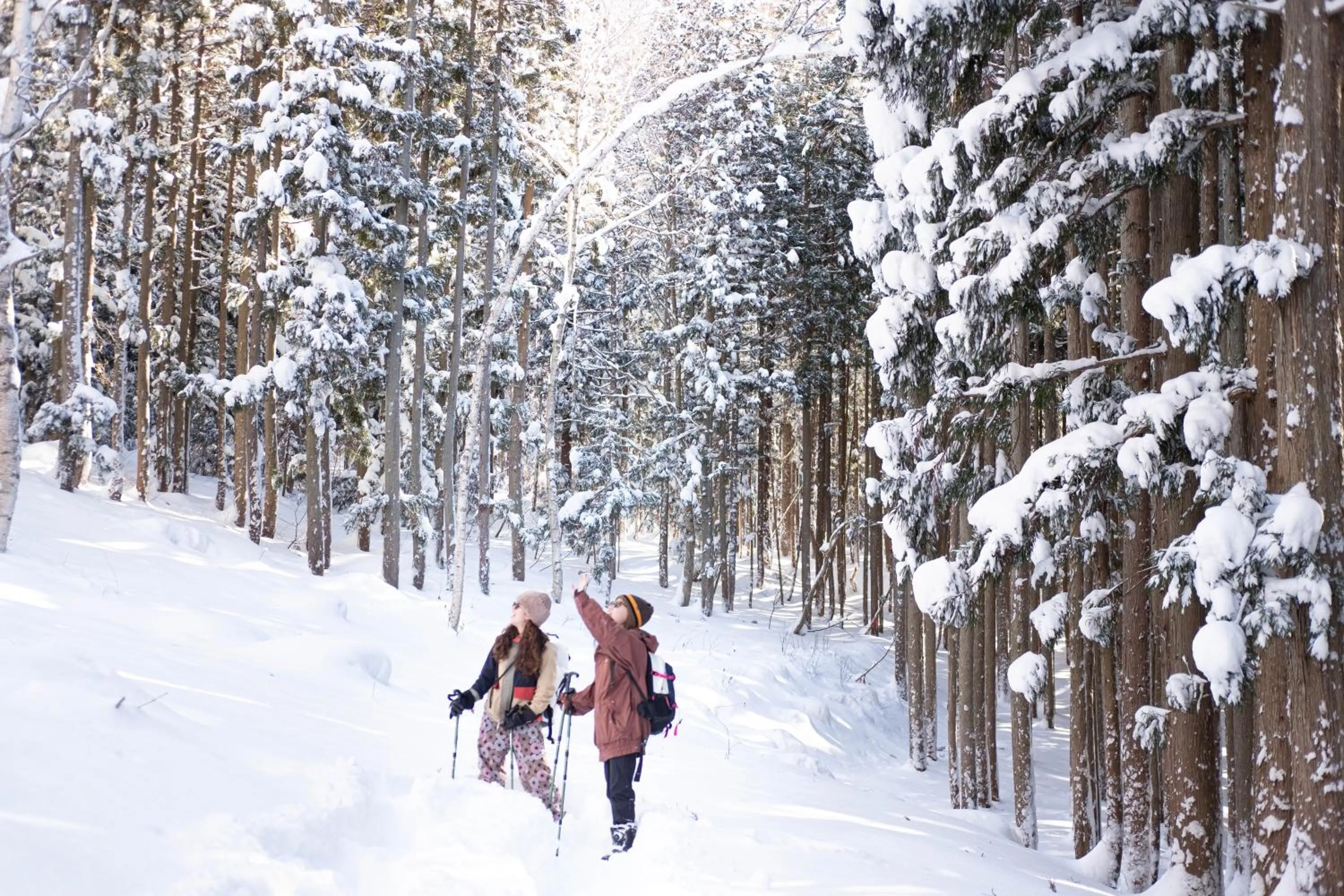 Natural landscape in Little Japan Echigo