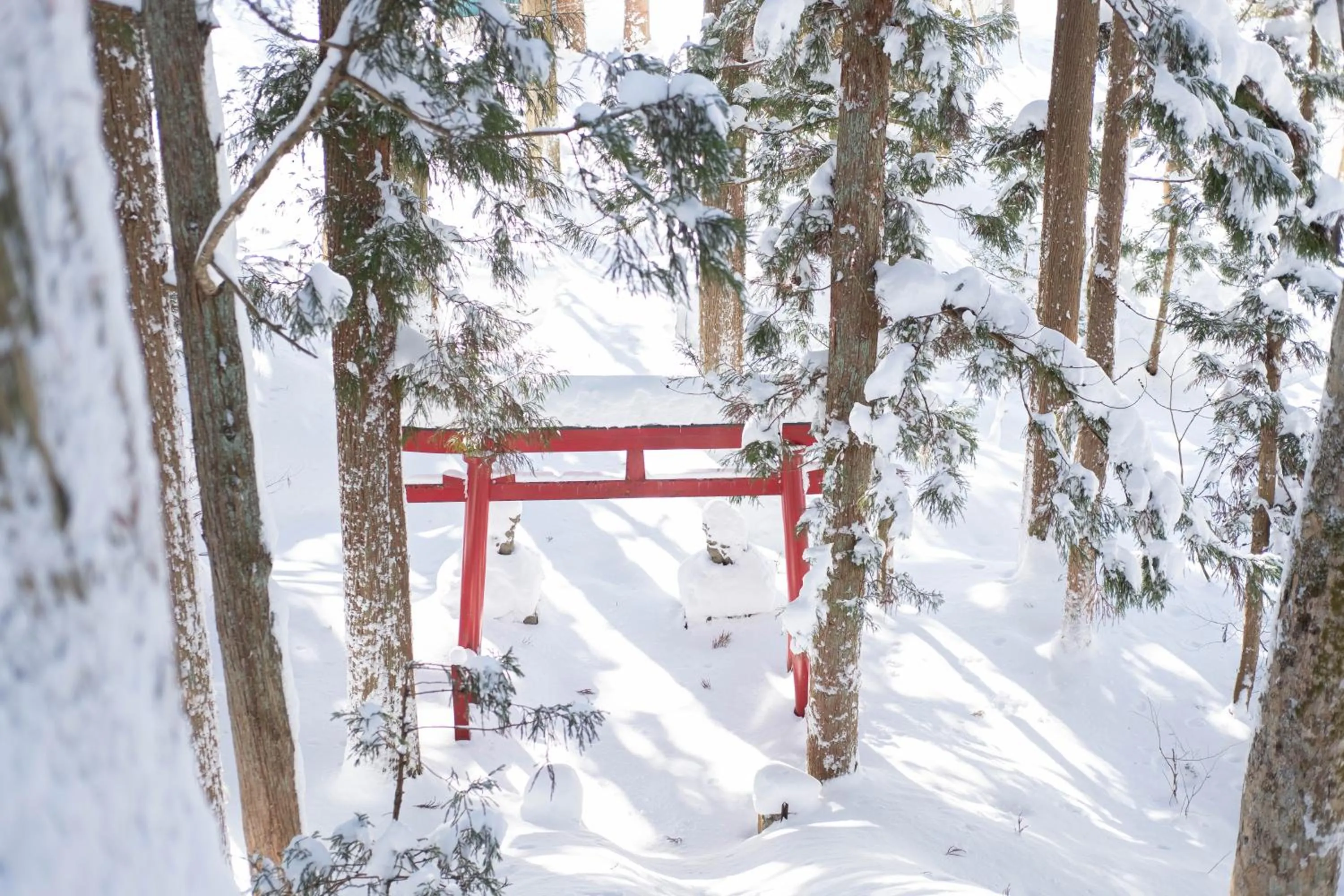 Nearby landmark in Little Japan Echigo