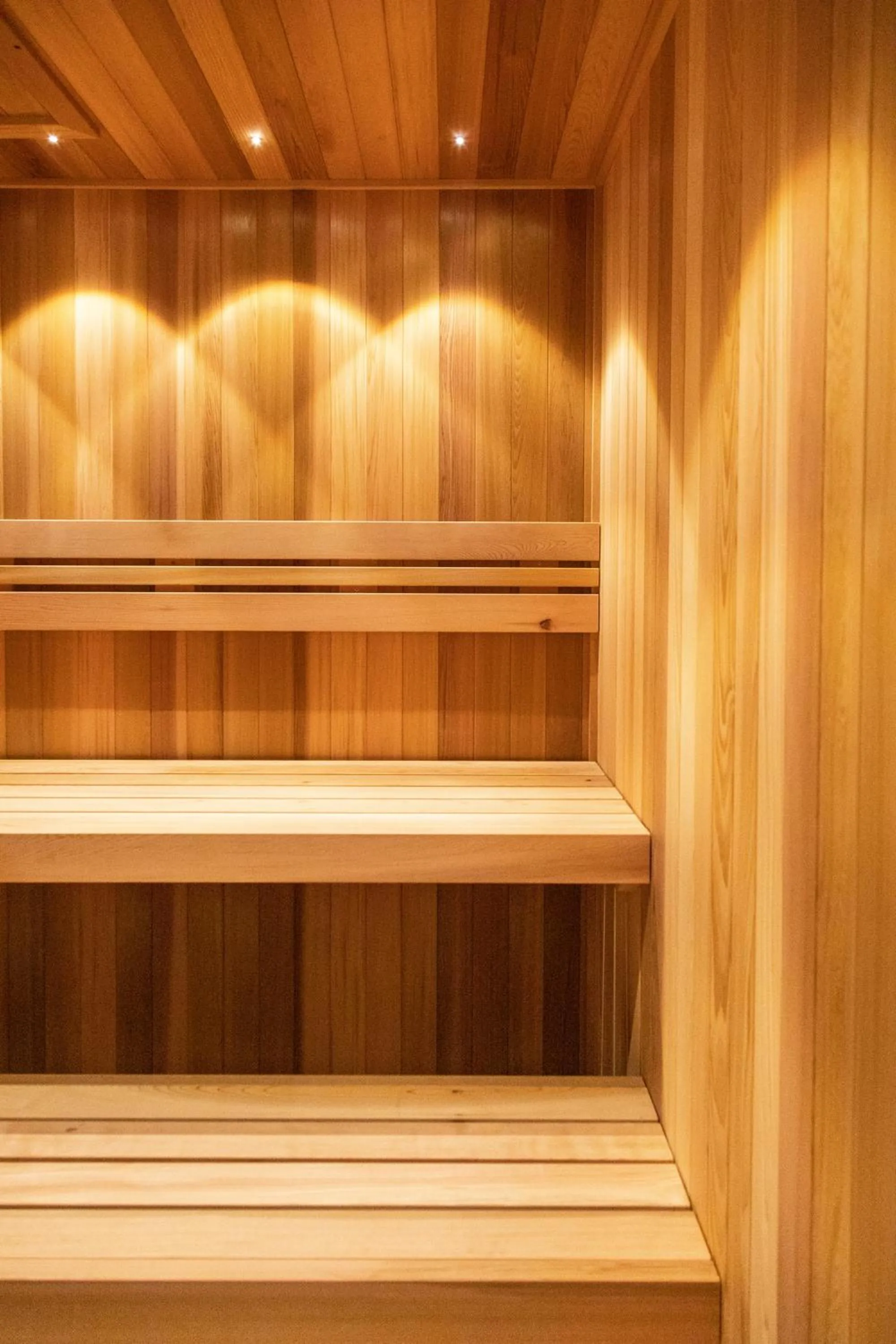 Sauna in Dorsett Melbourne