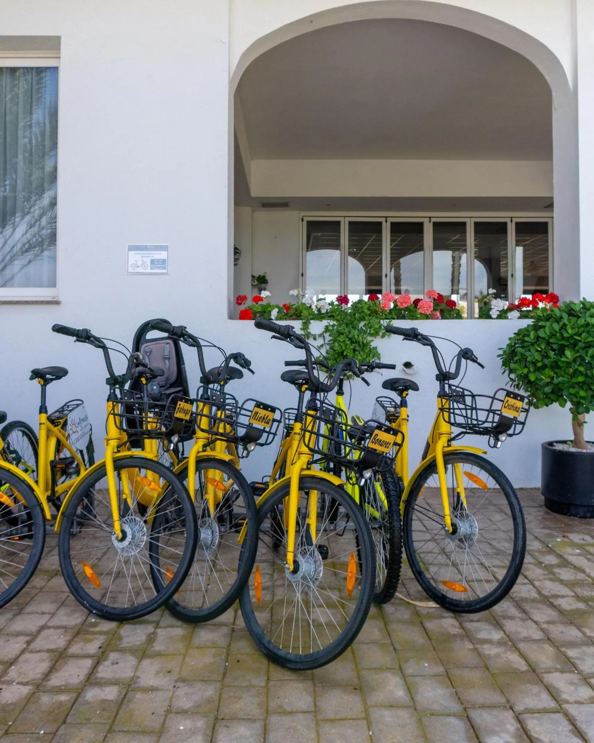 Cycling in Ohtels Cabogata