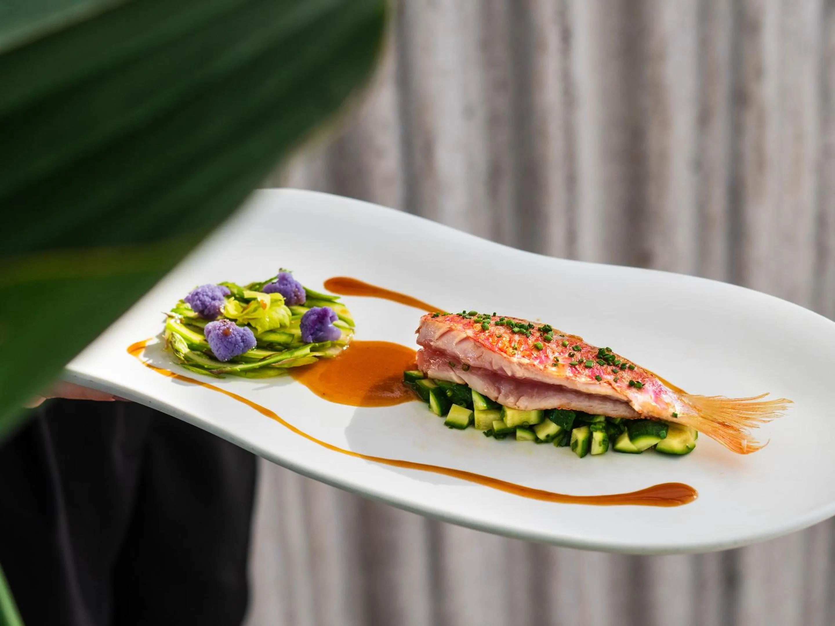 Diving in The Dolli at Acropolis, A Hotel to Live