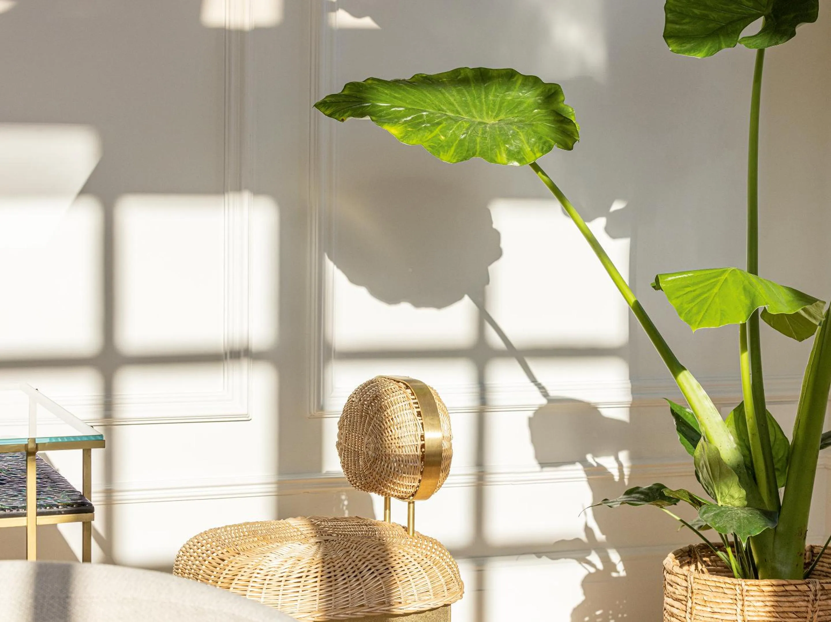 Decorative detail in The Dolli at Acropolis, A Hotel to Live