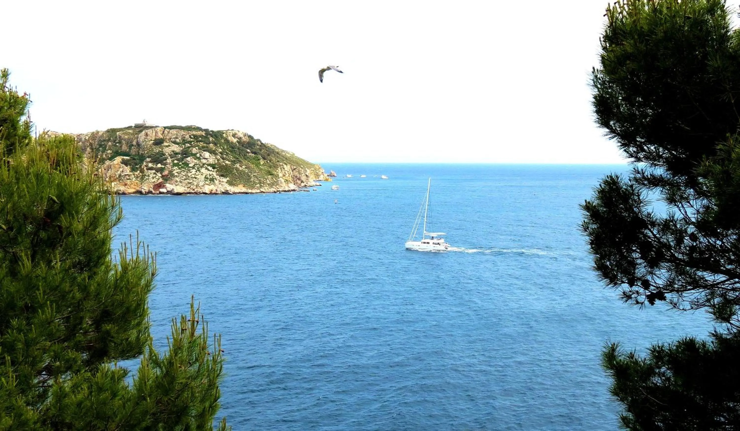 Fishing in Hotel Santa Anna