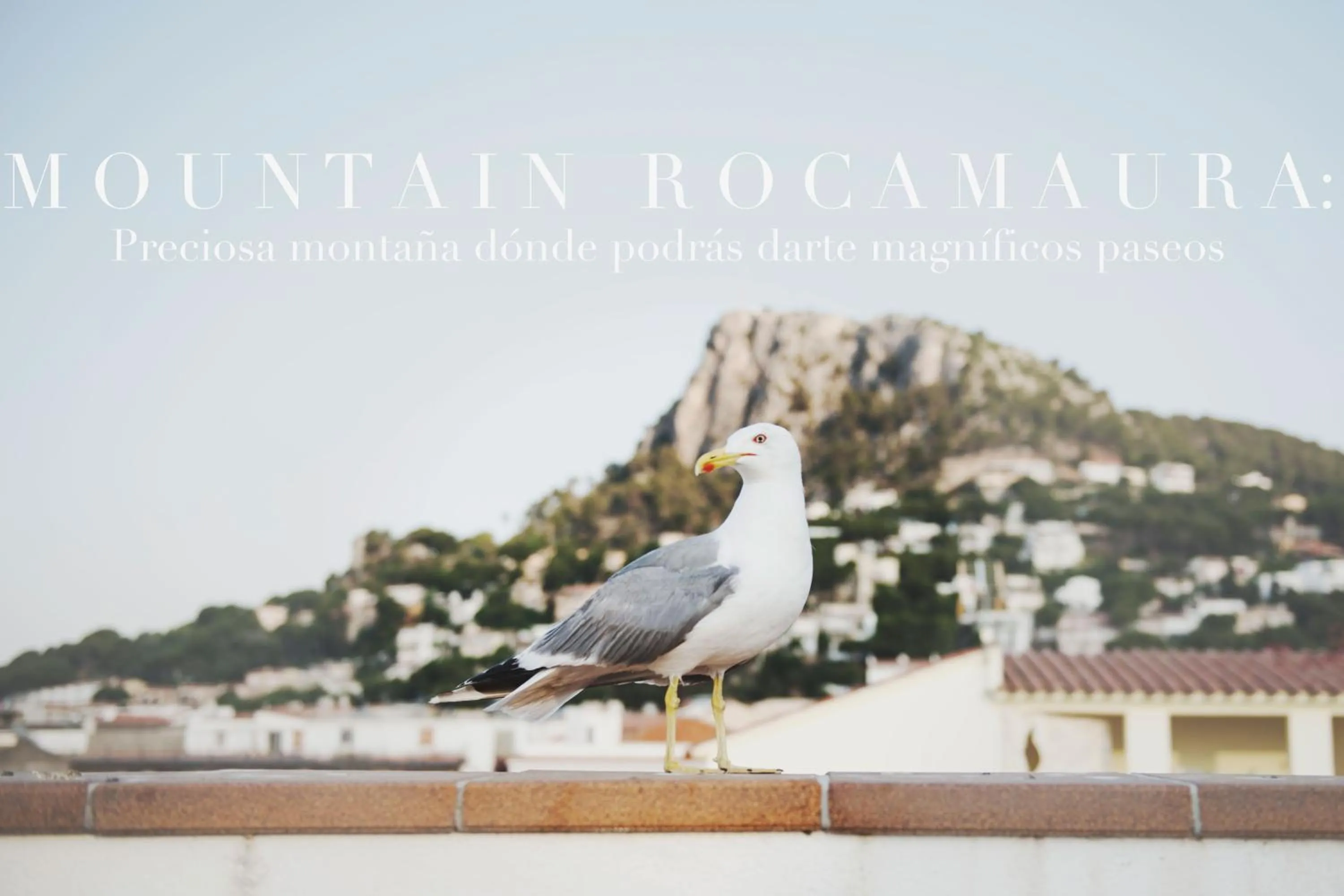 Restaurant/places to eat in Hotel Santa Anna