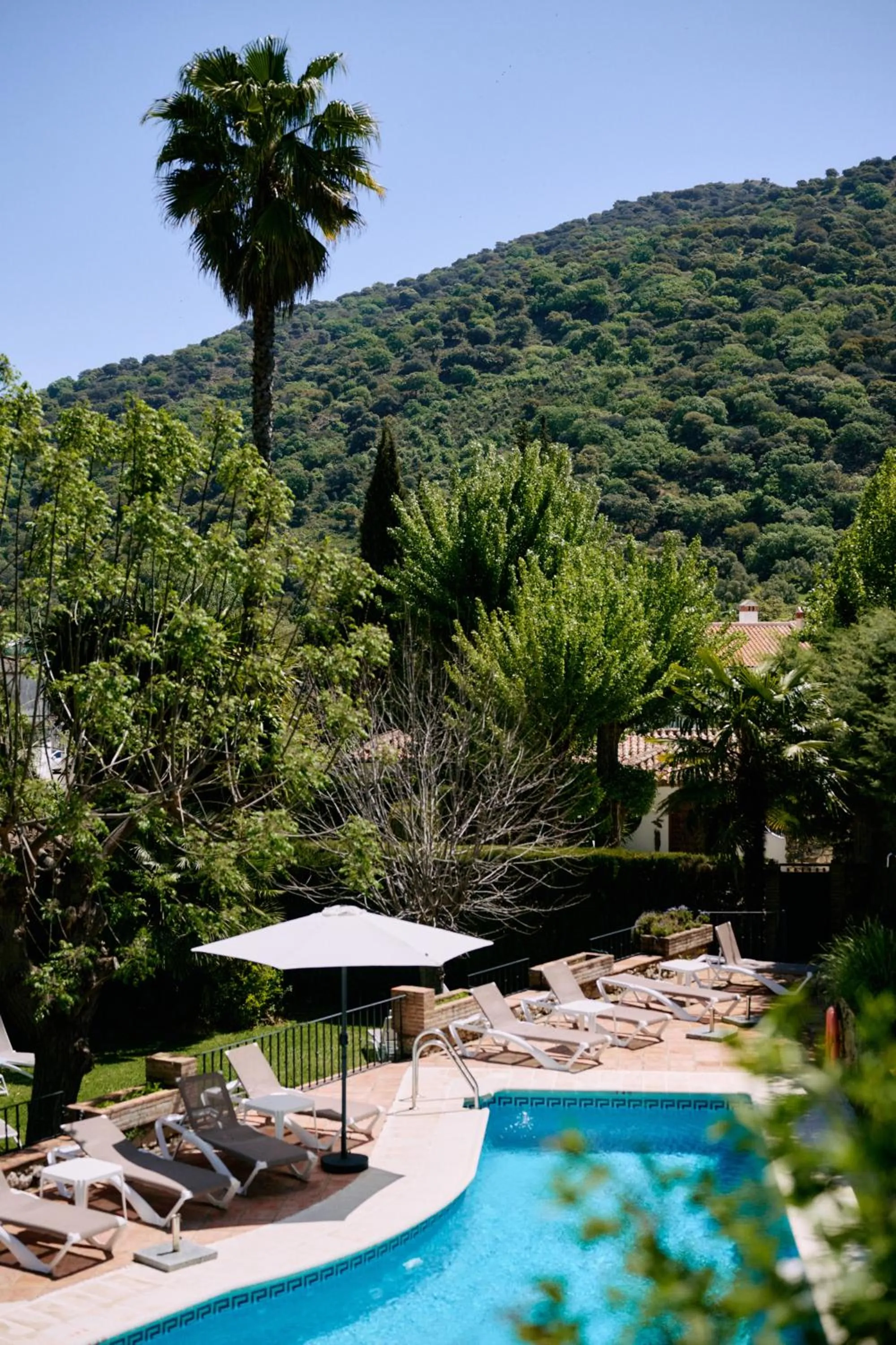 Spring in Molino Del Santo