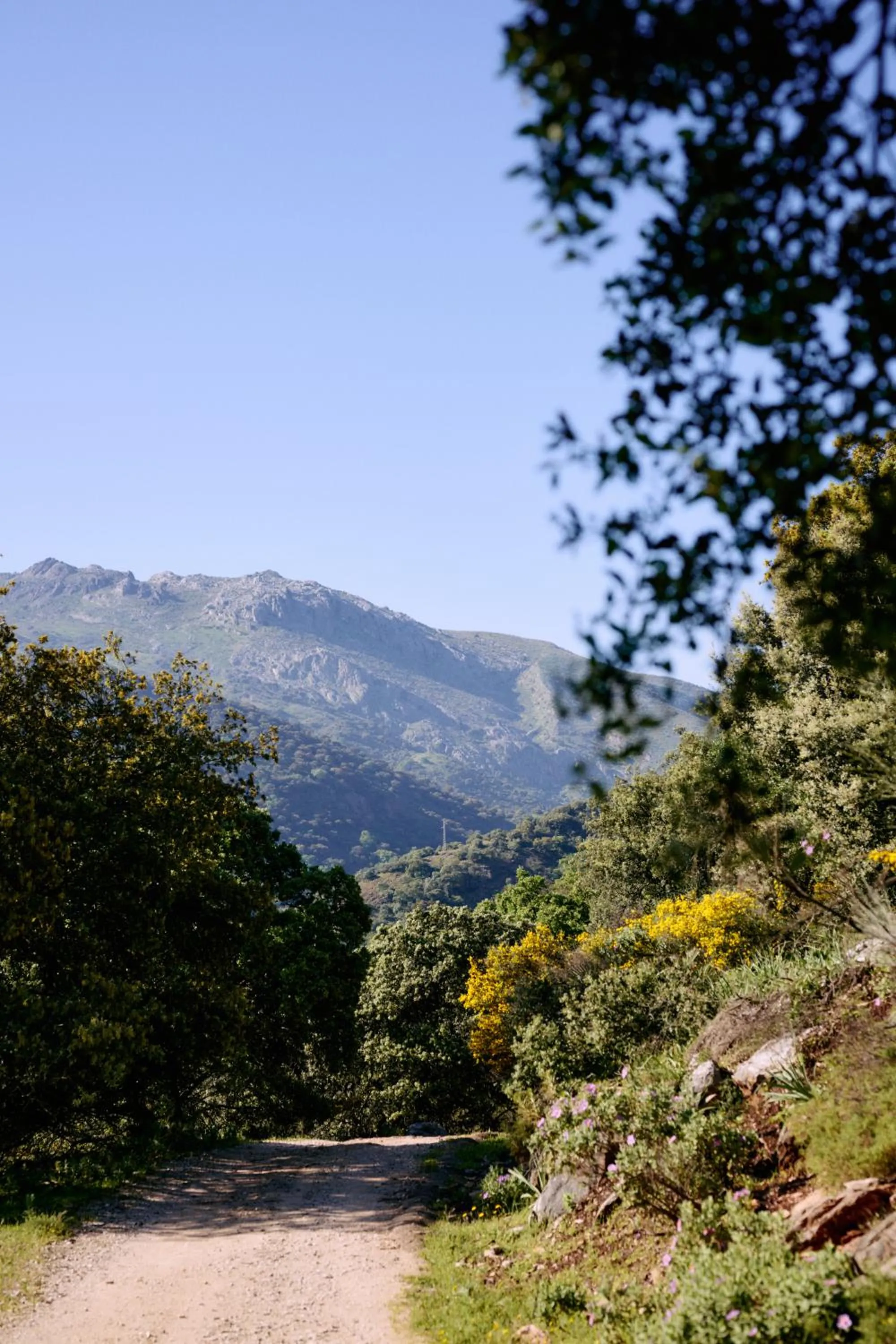 Nearby landmark in Molino Del Santo
