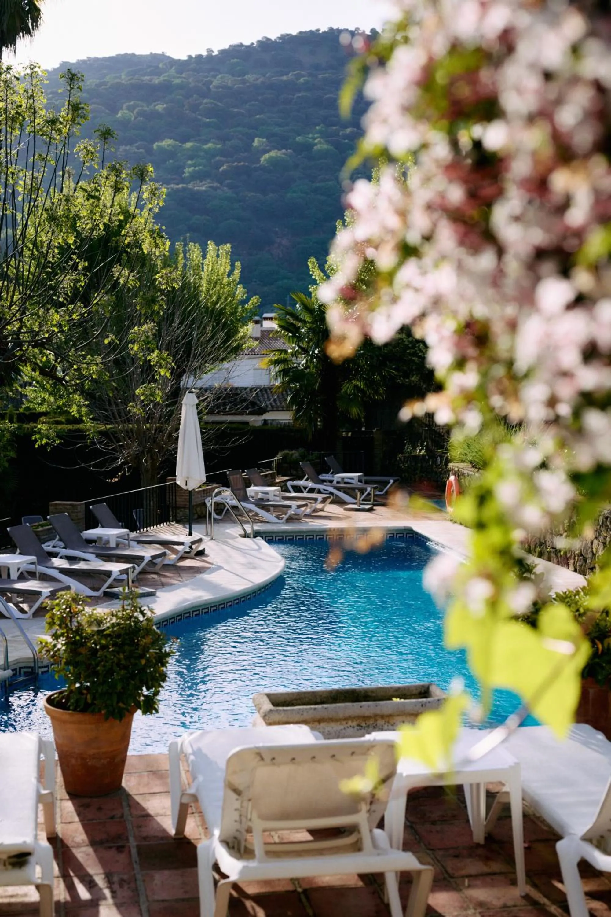 Garden view in Molino Del Santo