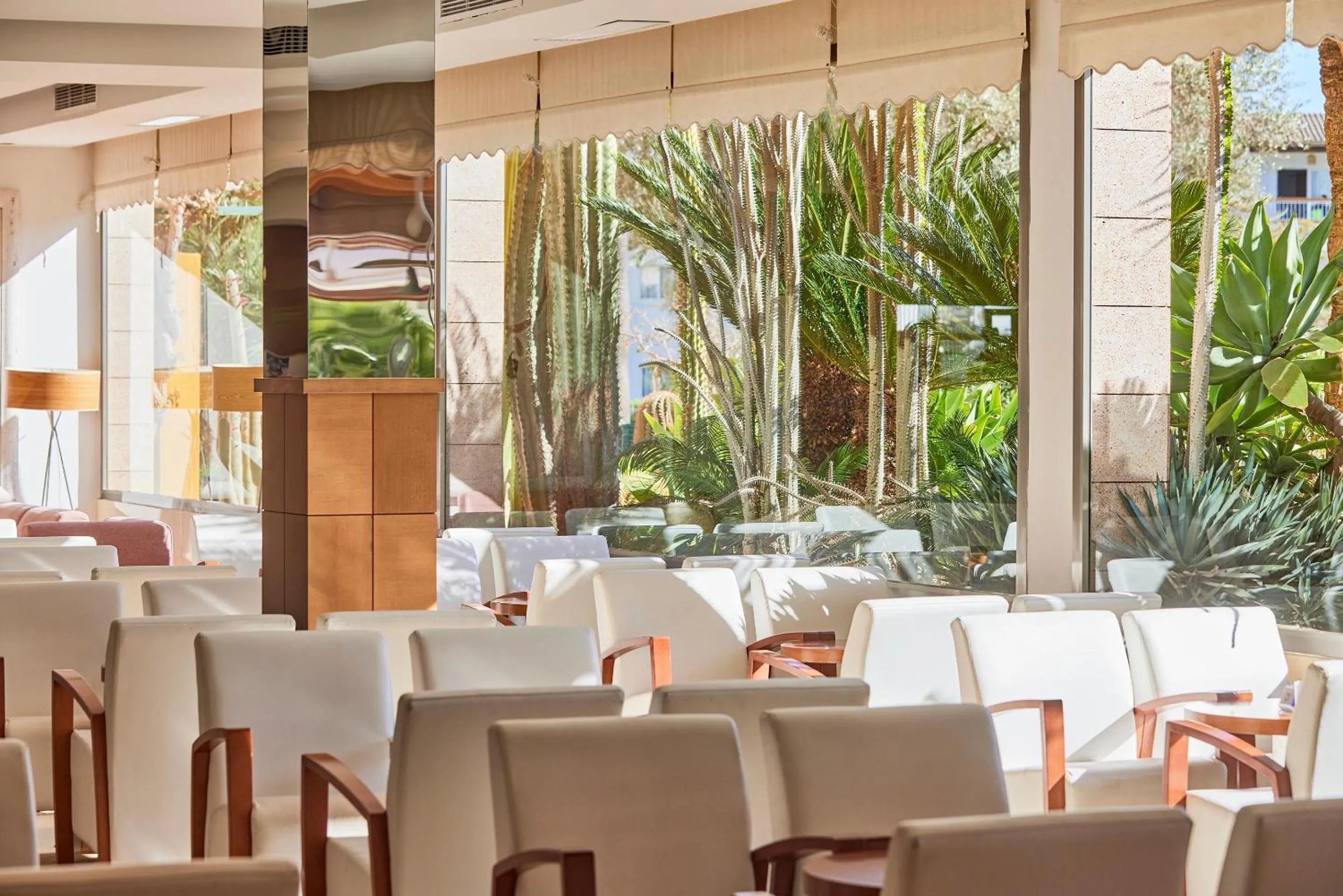 Restaurant/places to eat in Zafiro Tropic